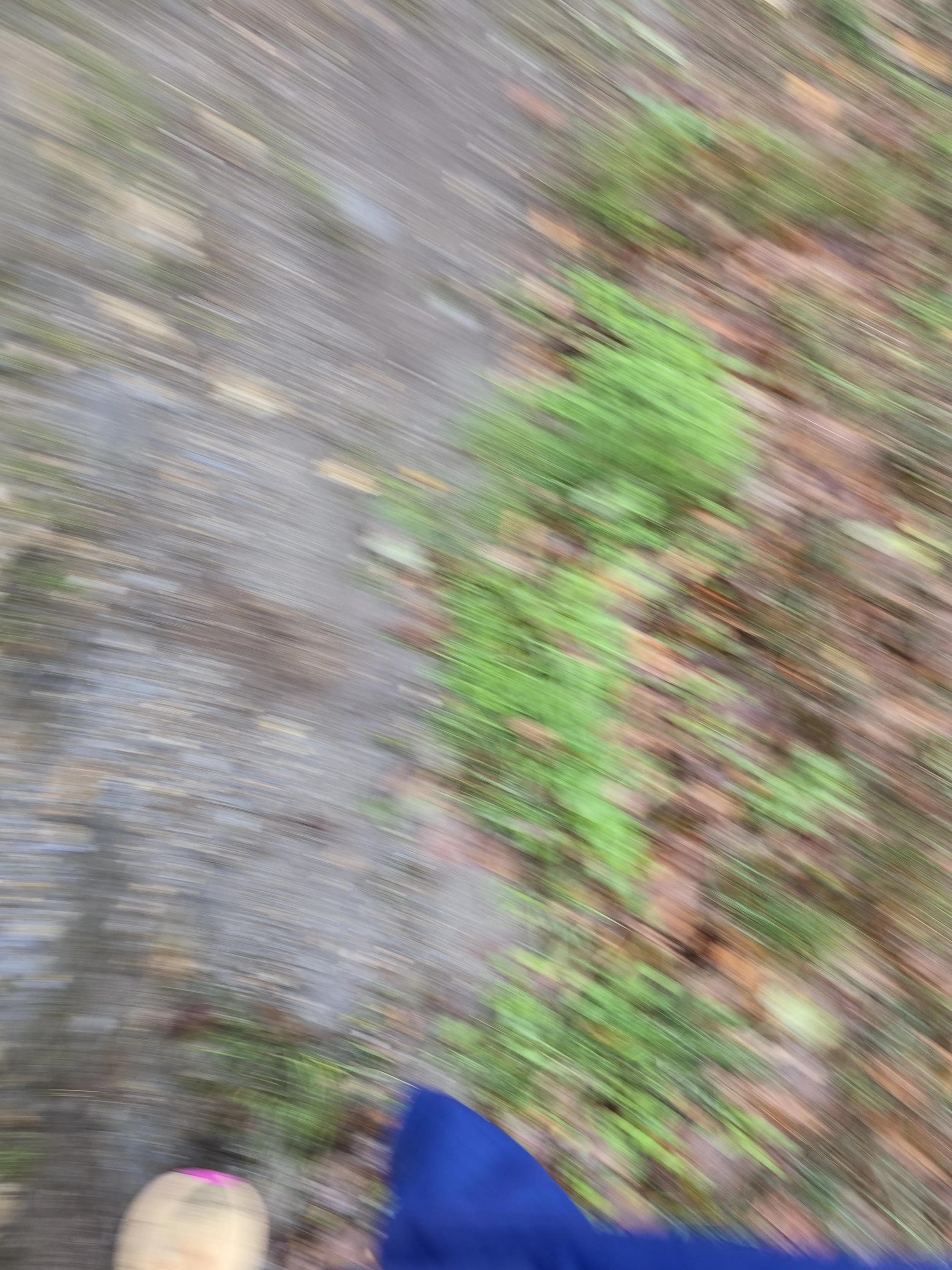 20251113_112128.jpg