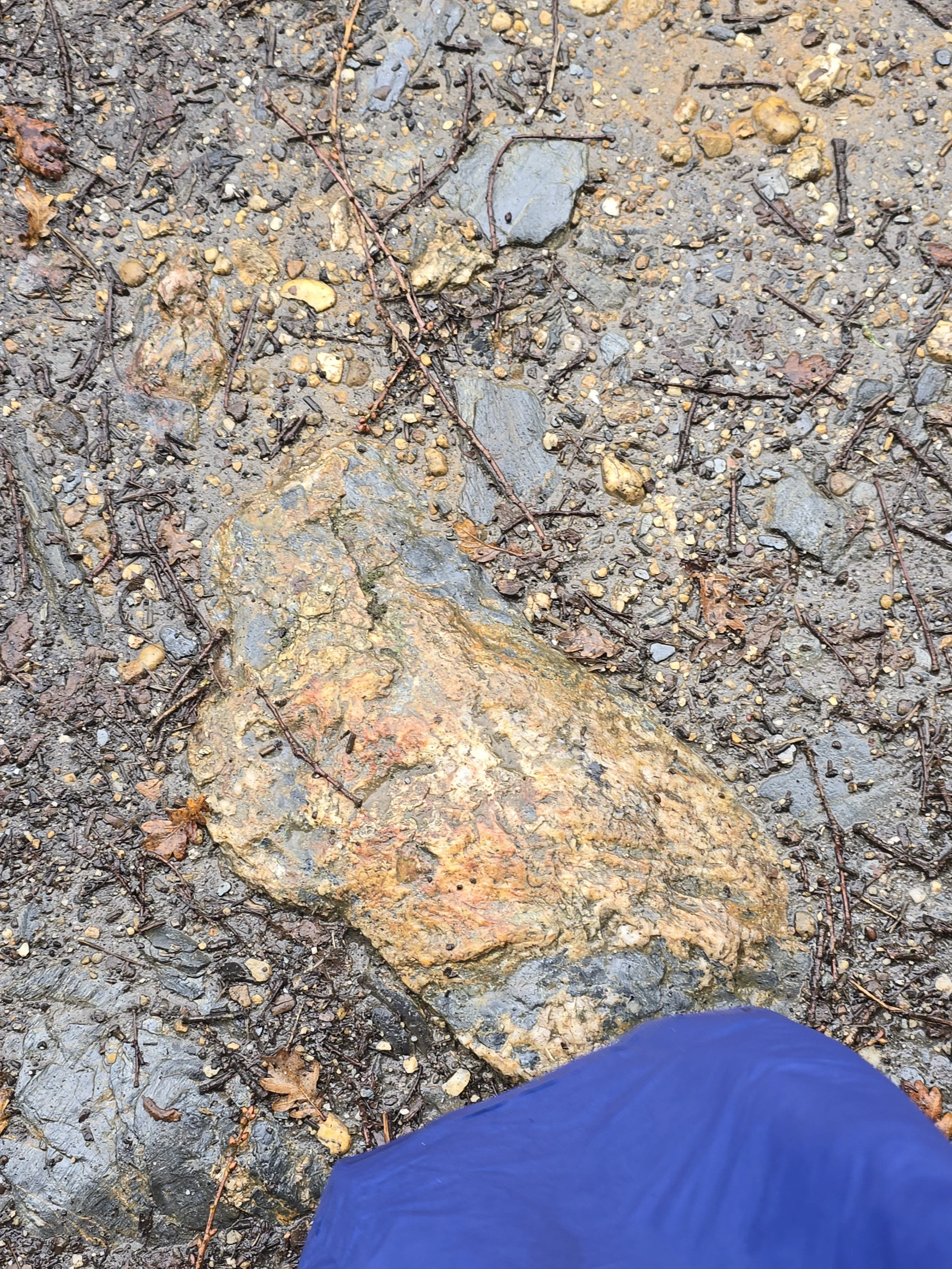20251113_111742.jpg