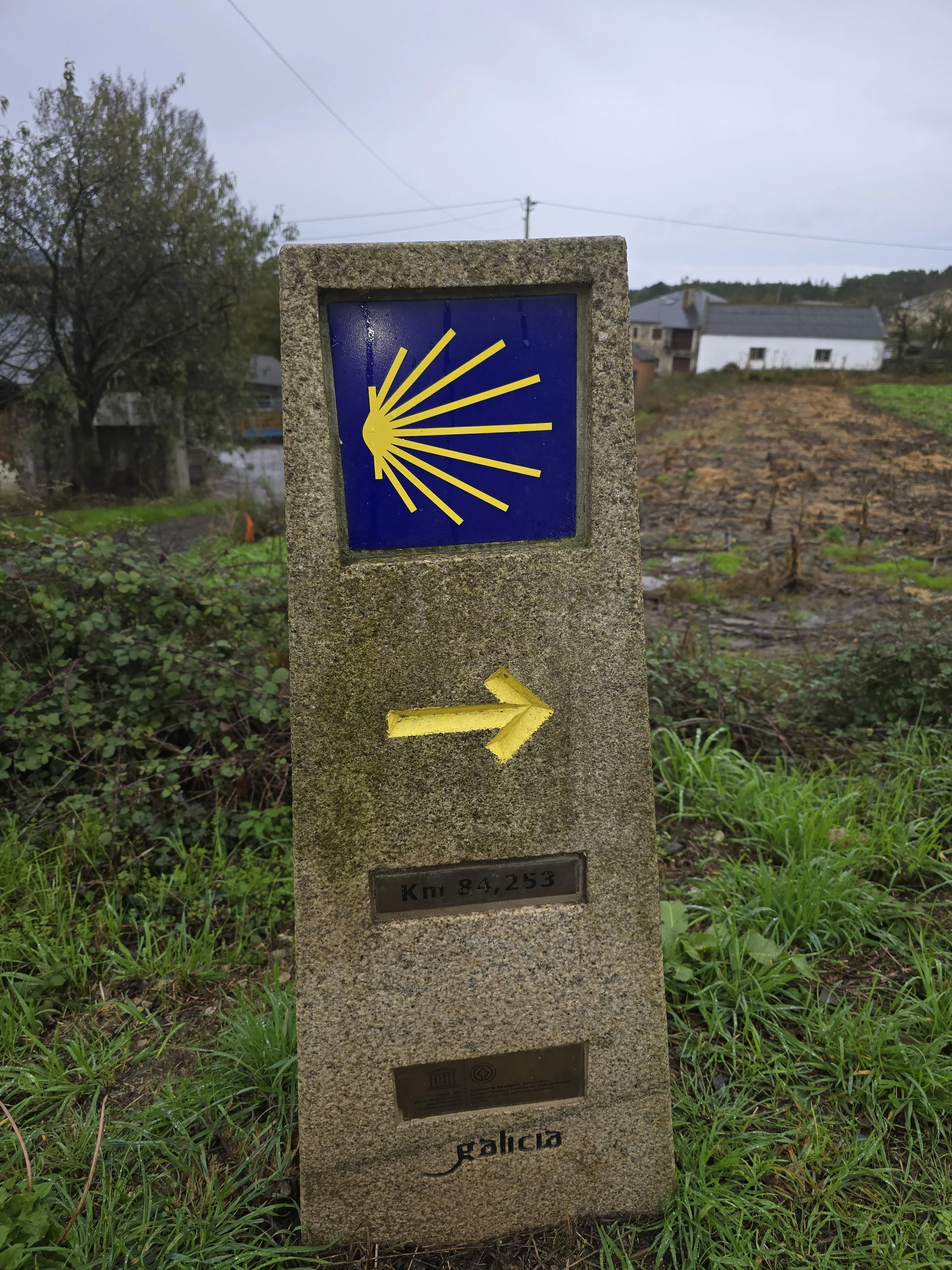 20251113_104903.jpg