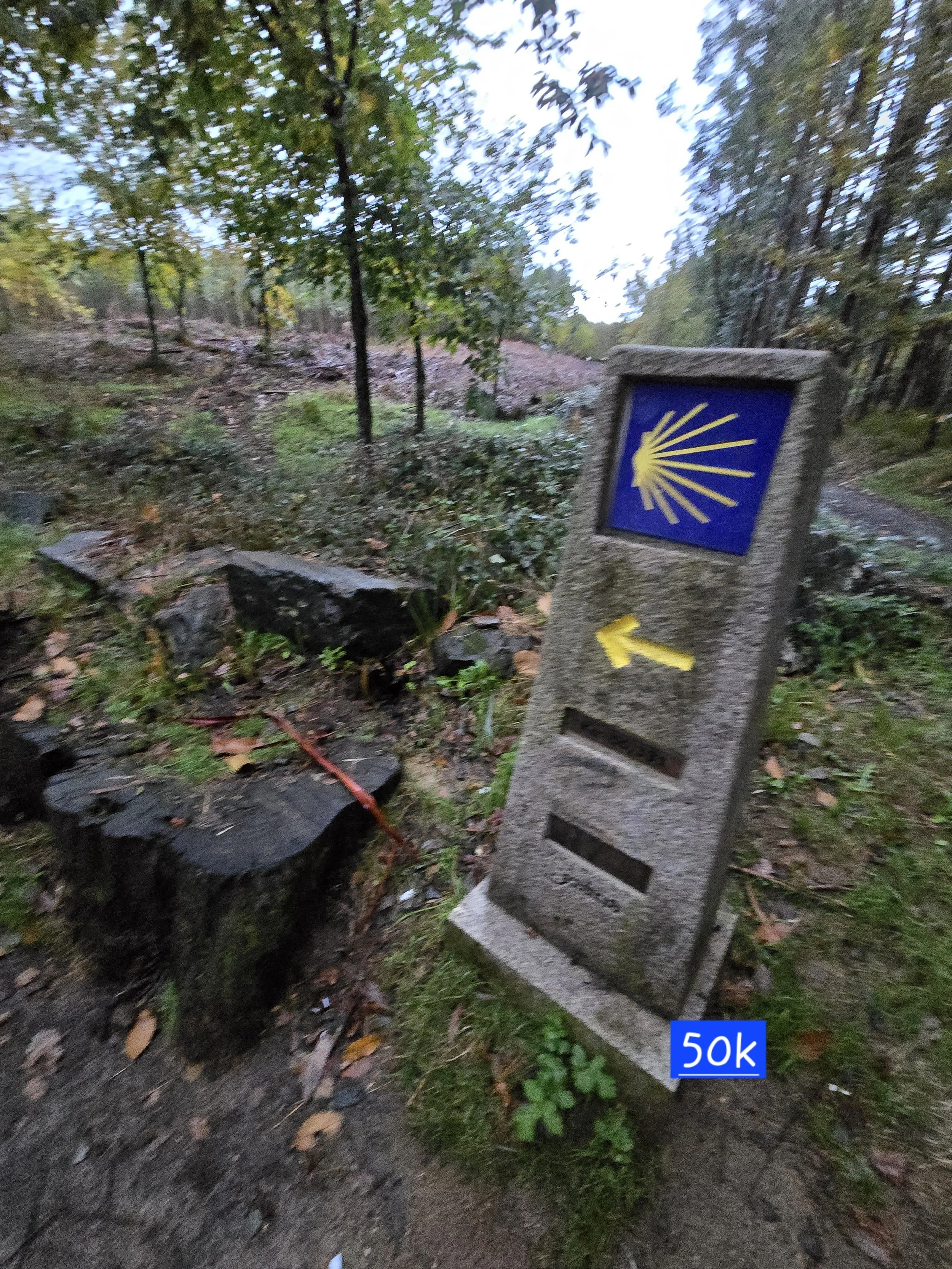 20251115_083608.jpg