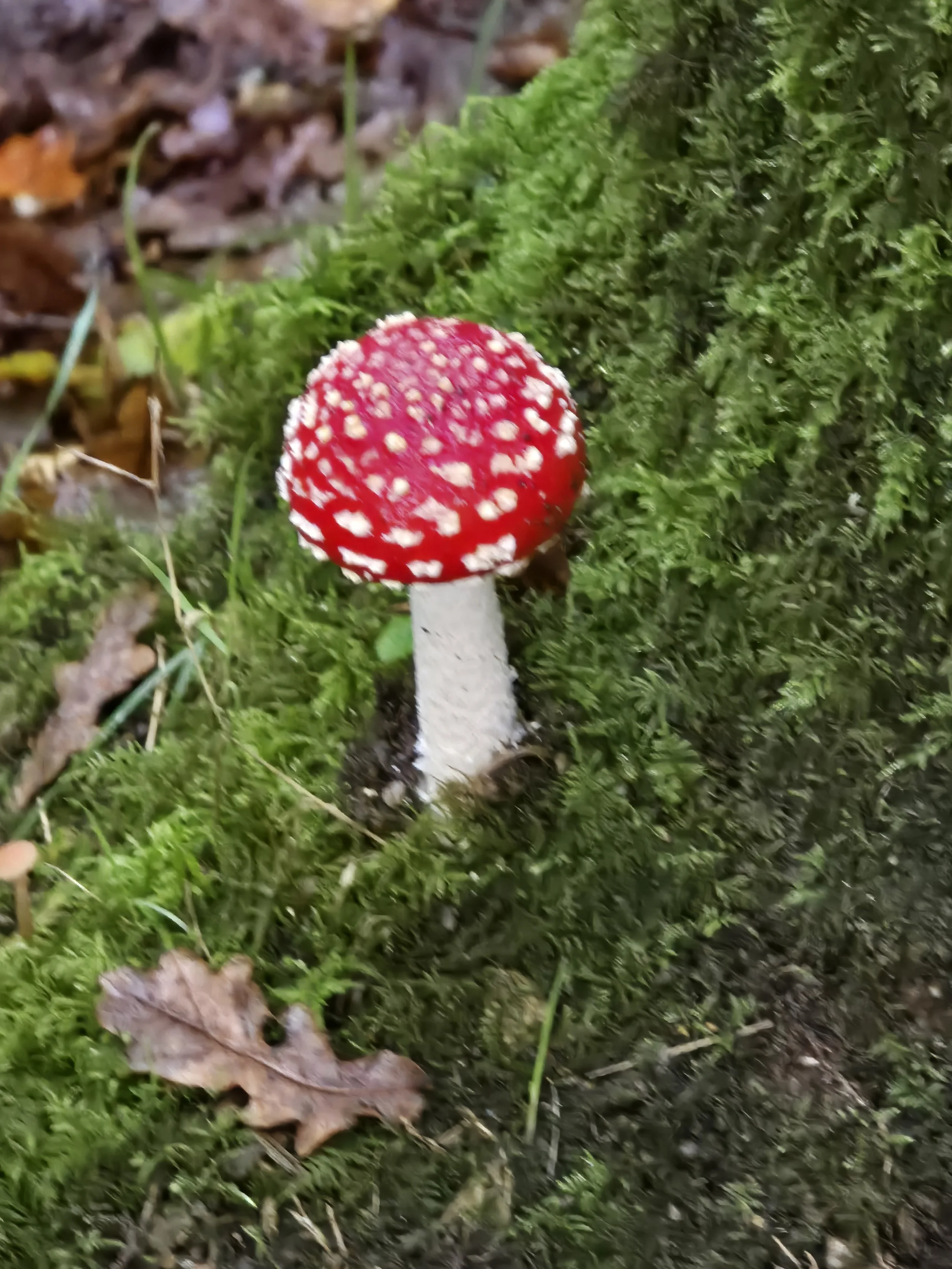 20251115_091527.jpg
