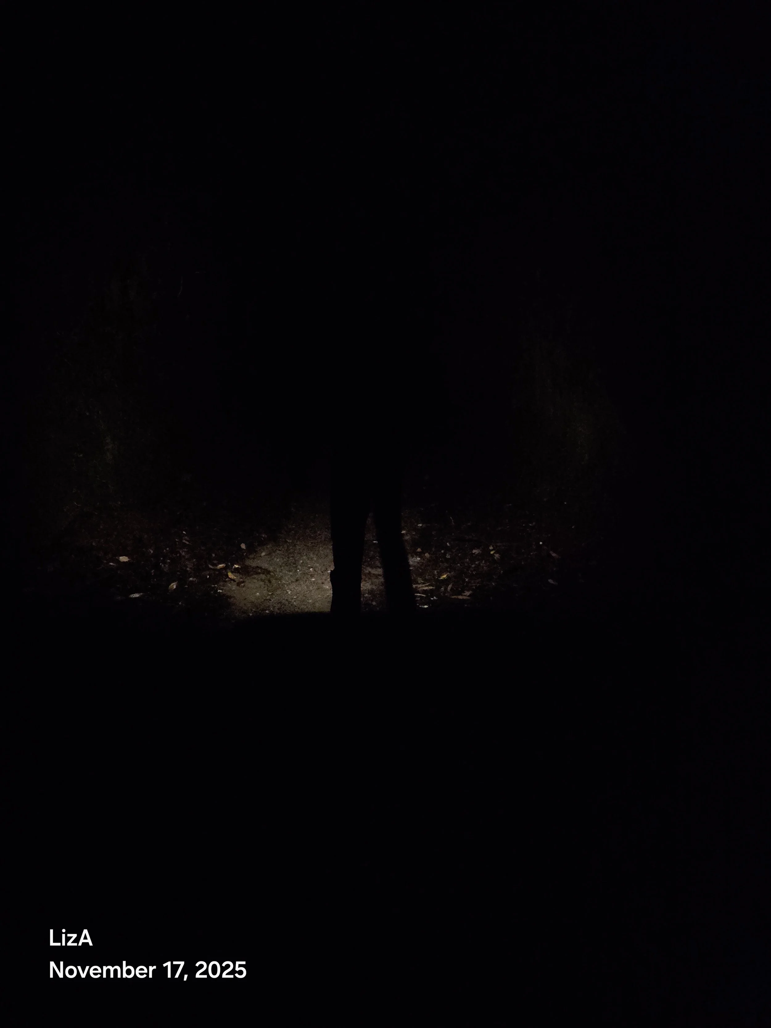 20251117_072656.jpg