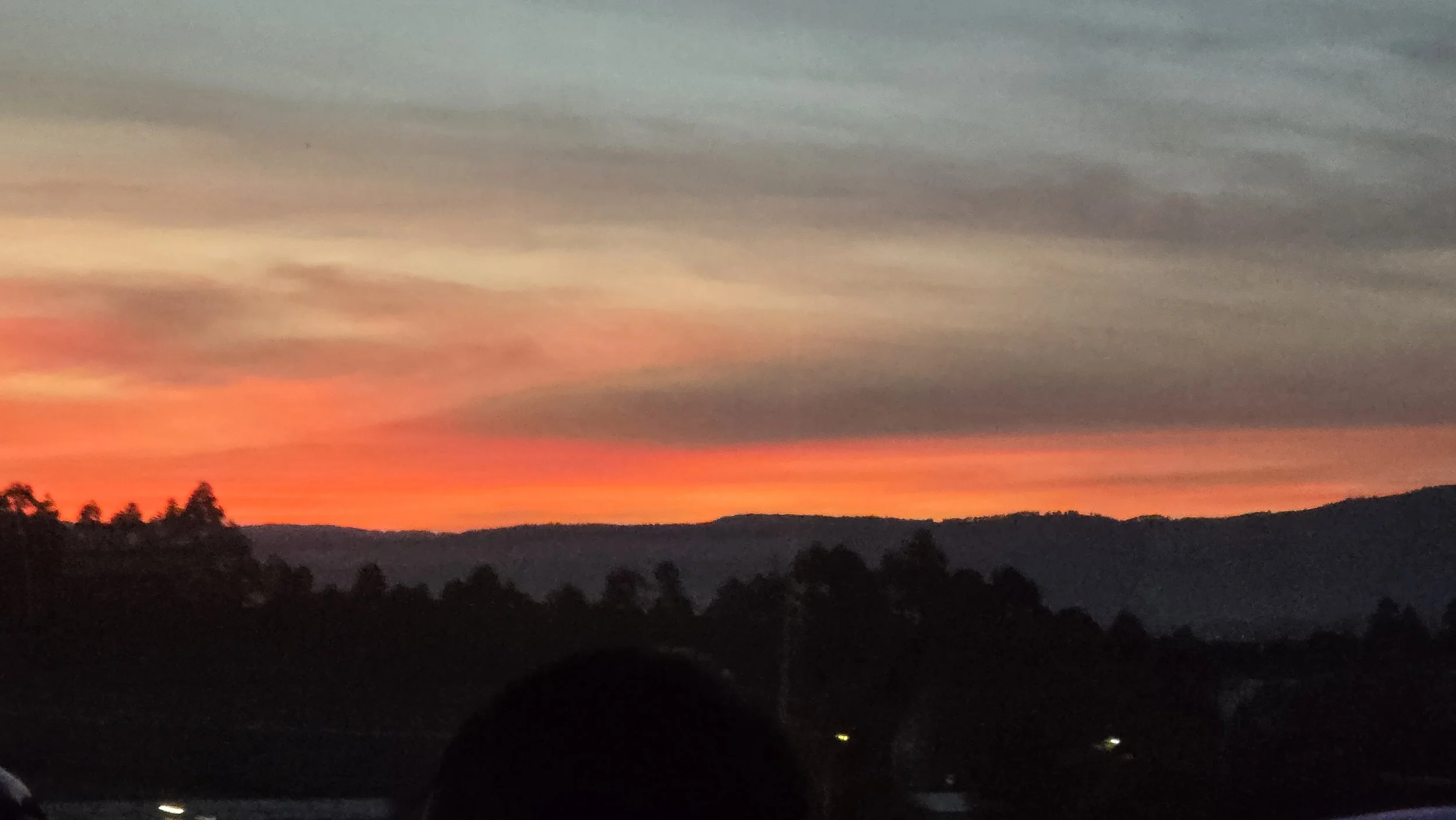 20251118_173423.jpg
