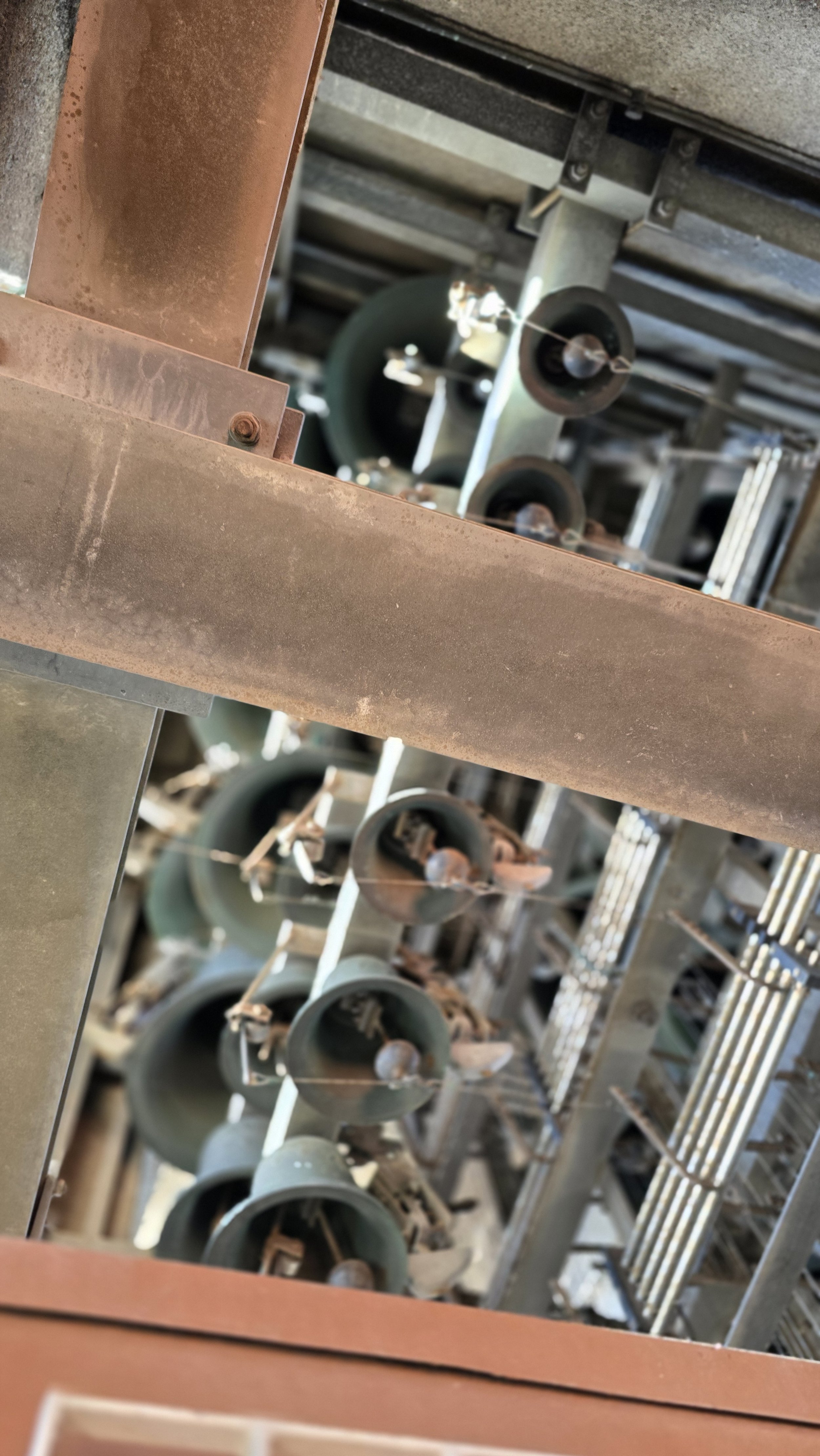 20251119_122427.jpg