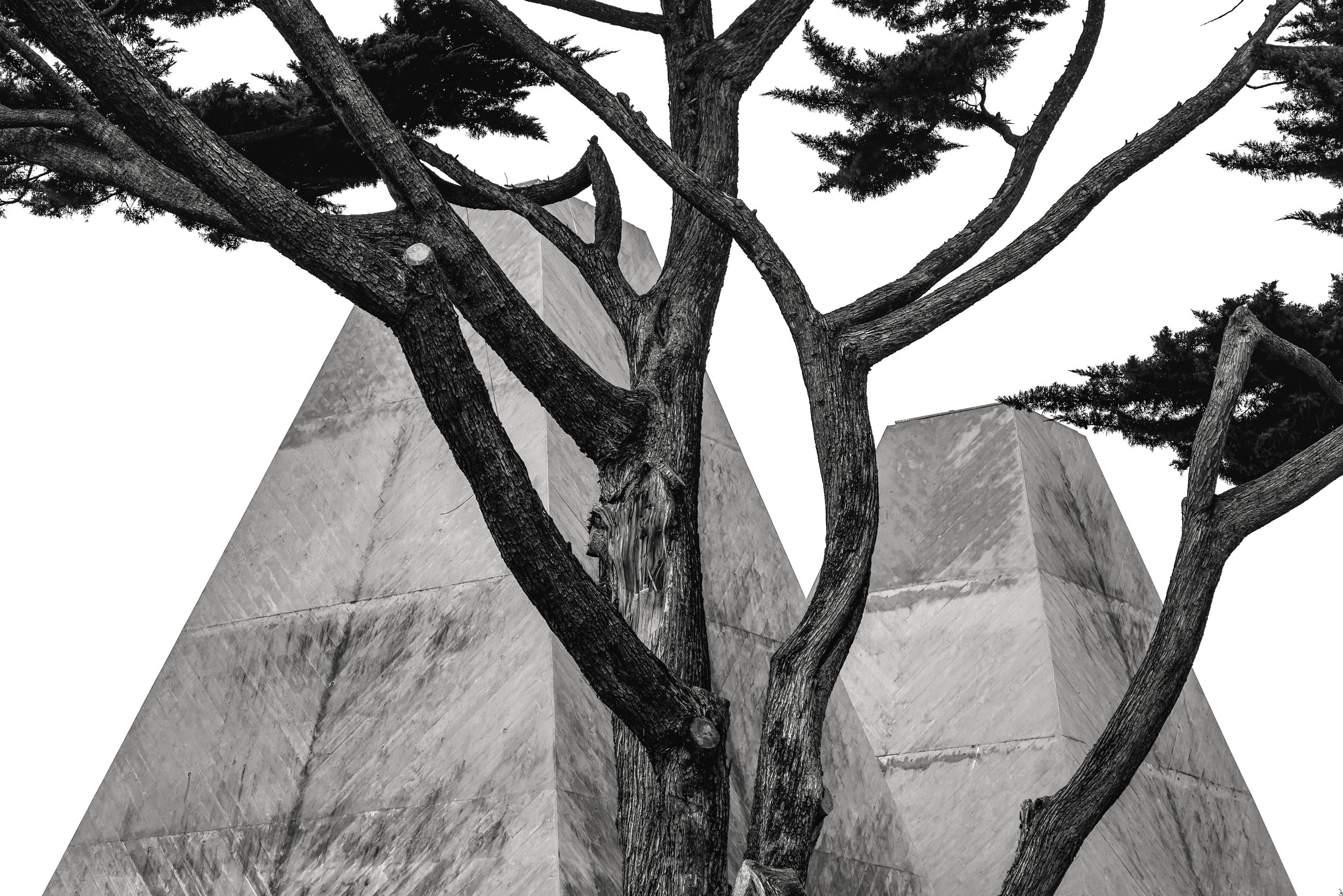 Casa das Histórias Paula Rego, Cascais, Portugal - ©DomePhotography 2019