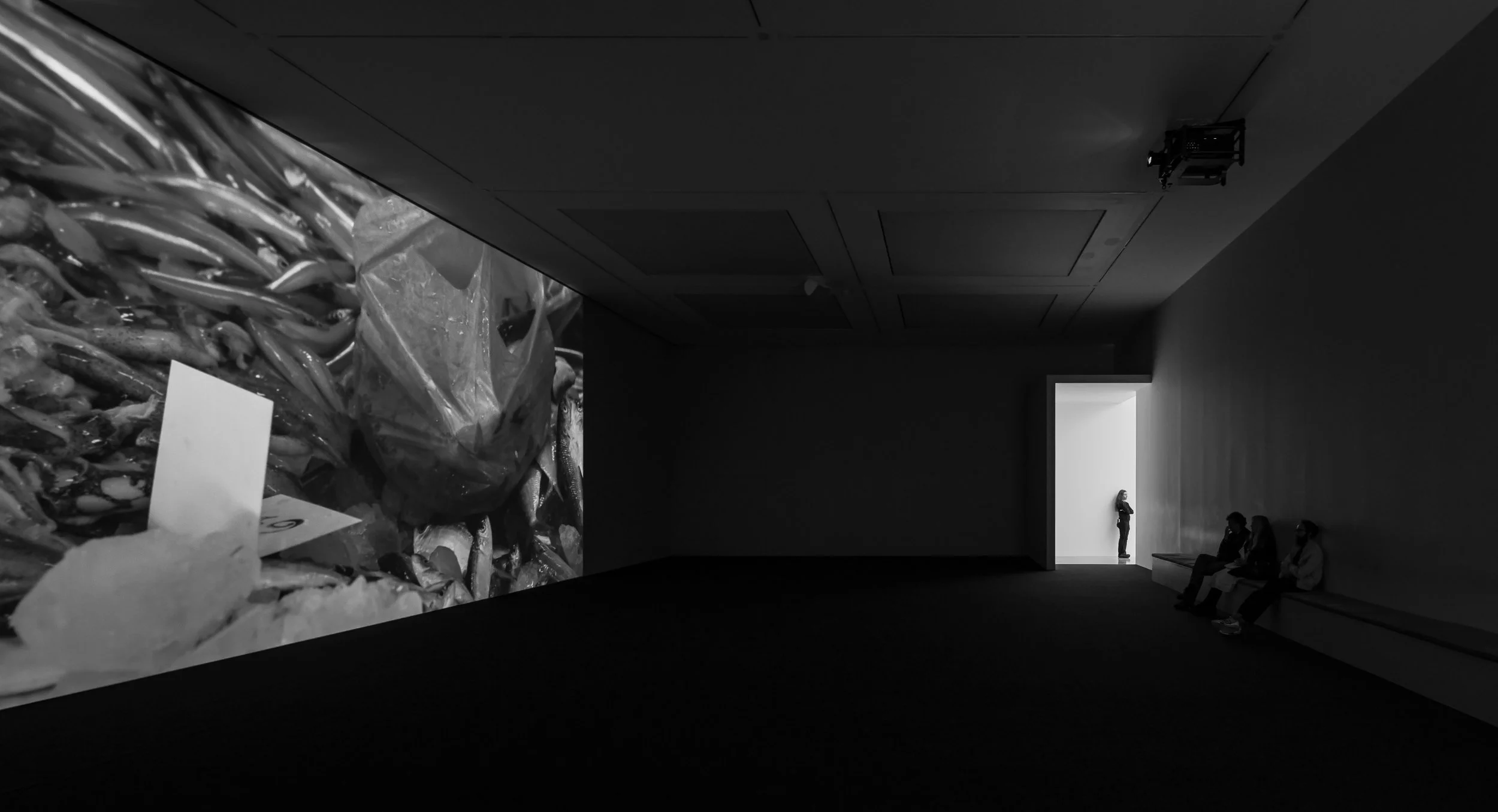 WHITECUBEGALLERY-24.jpg