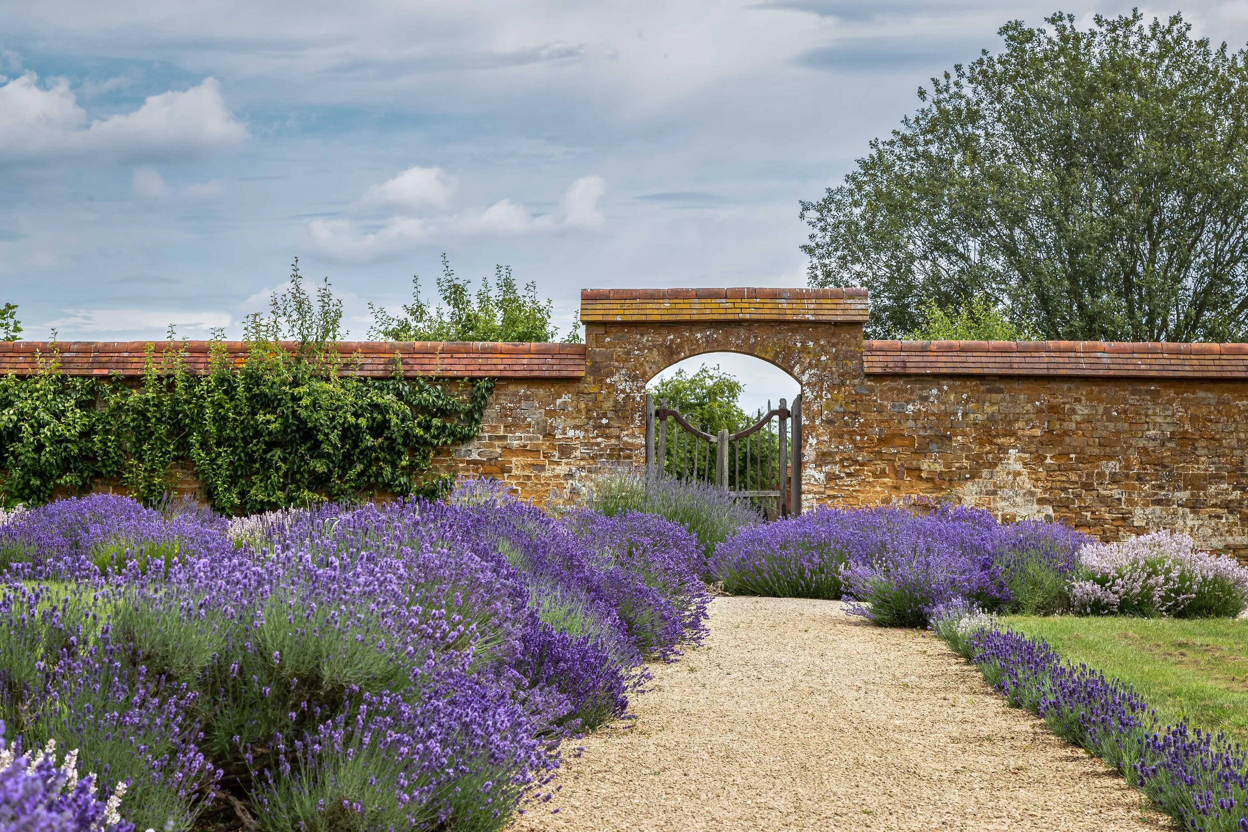 POUNDON-LR-28.jpg