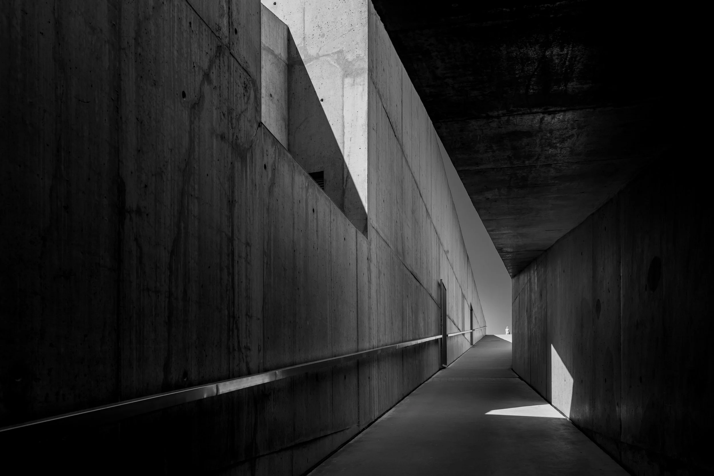 MUSEUDOCOA-RE-22.jpg