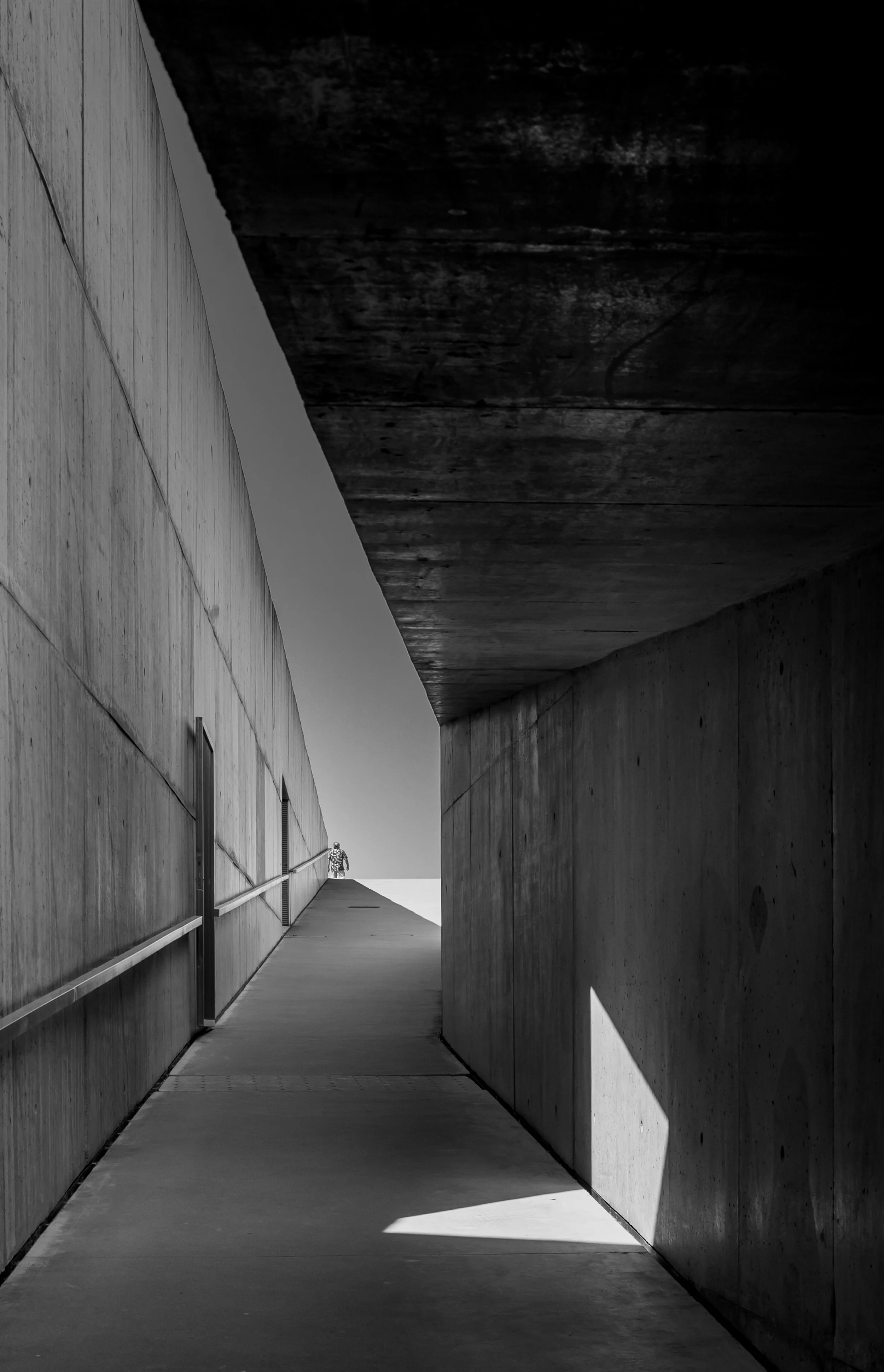 MUSEUDOCOA-RE-21.jpg