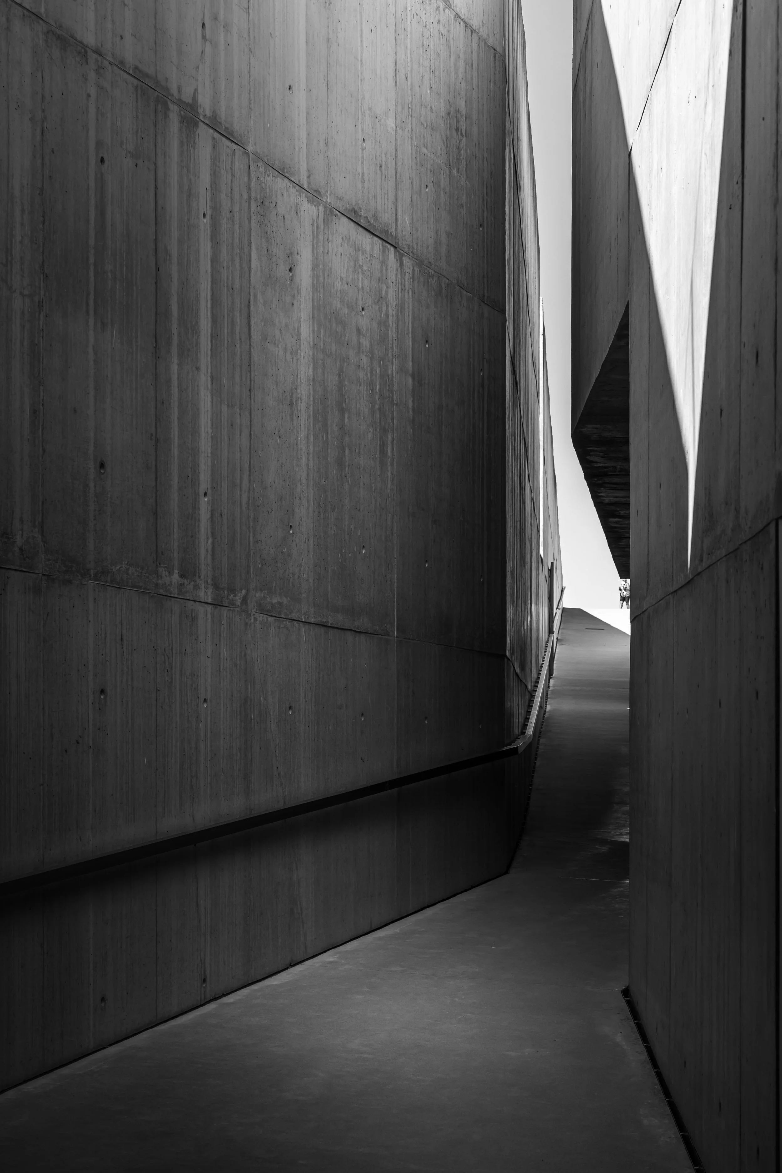 MUSEUDOCOA-RE-15.jpg