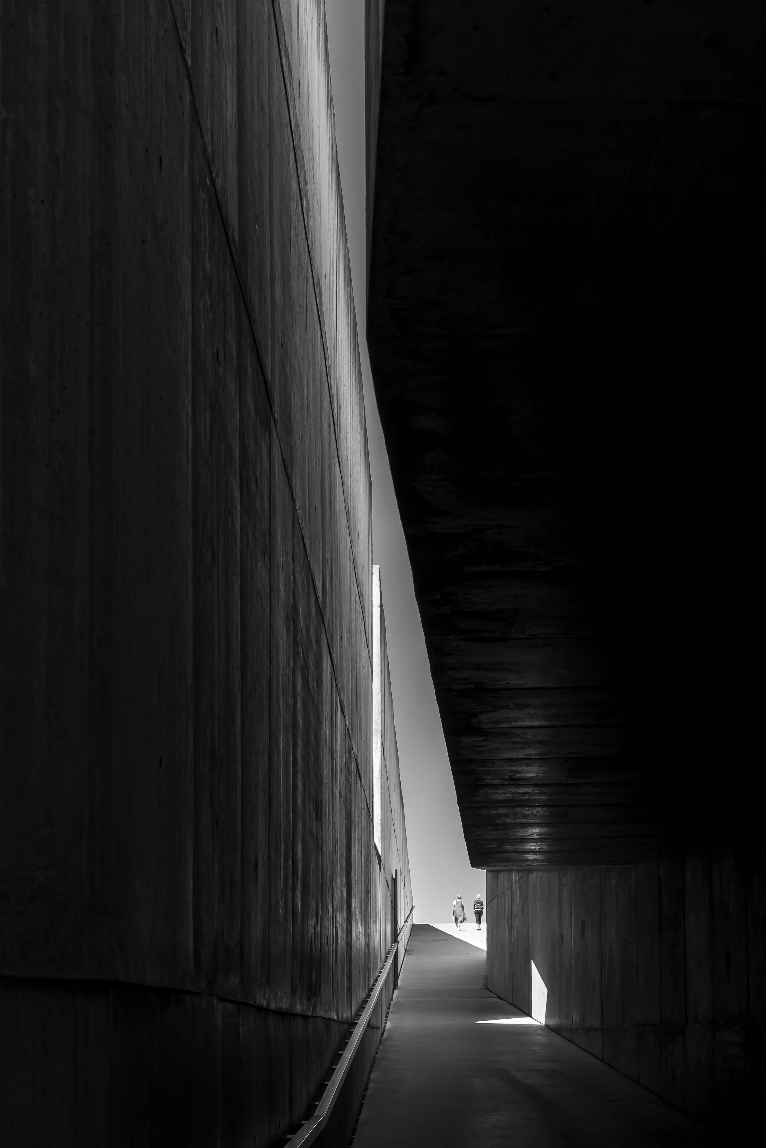 MUSEUDOCOA-RE-17.jpg