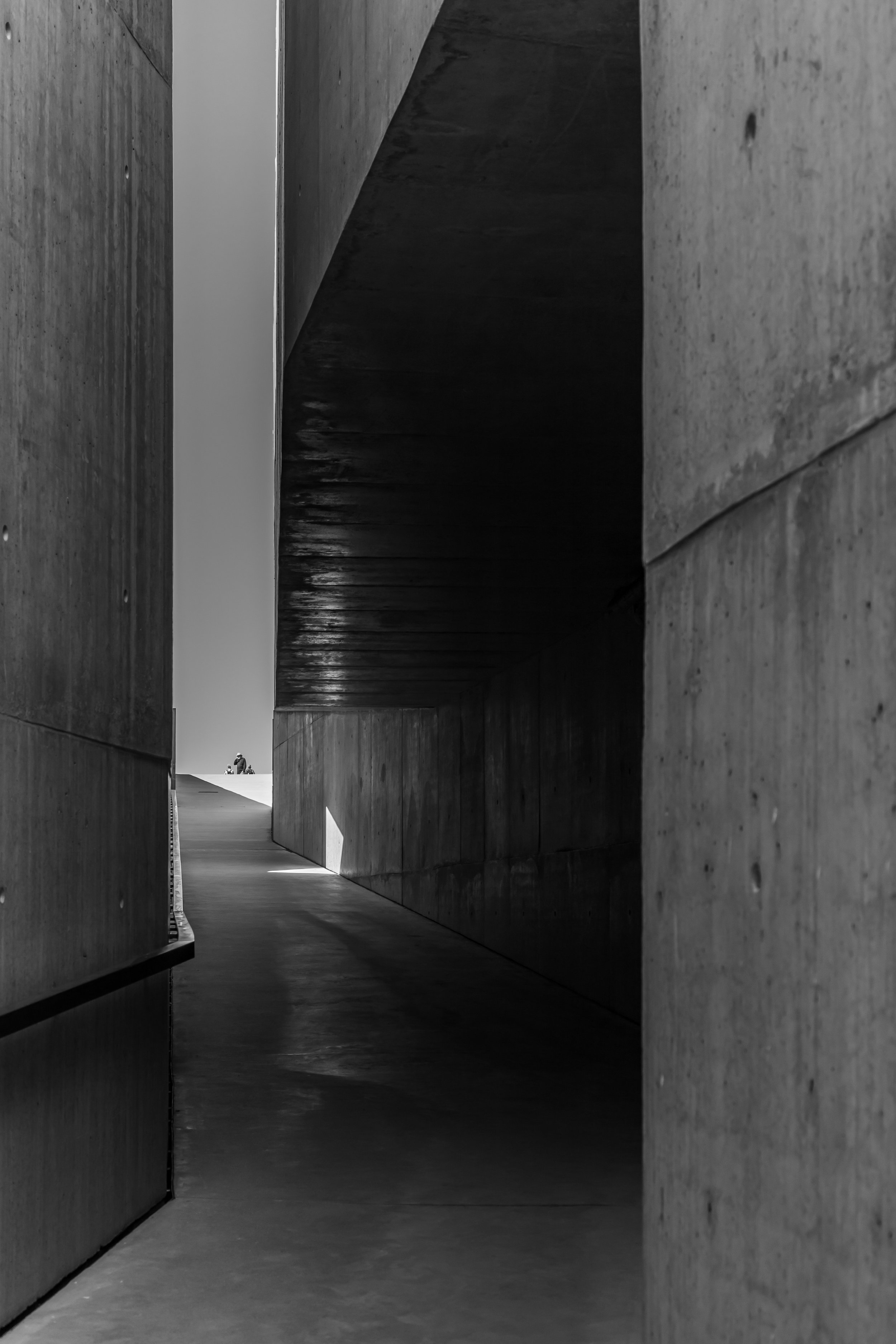 MUSEUDOCOA-RE-16.jpg