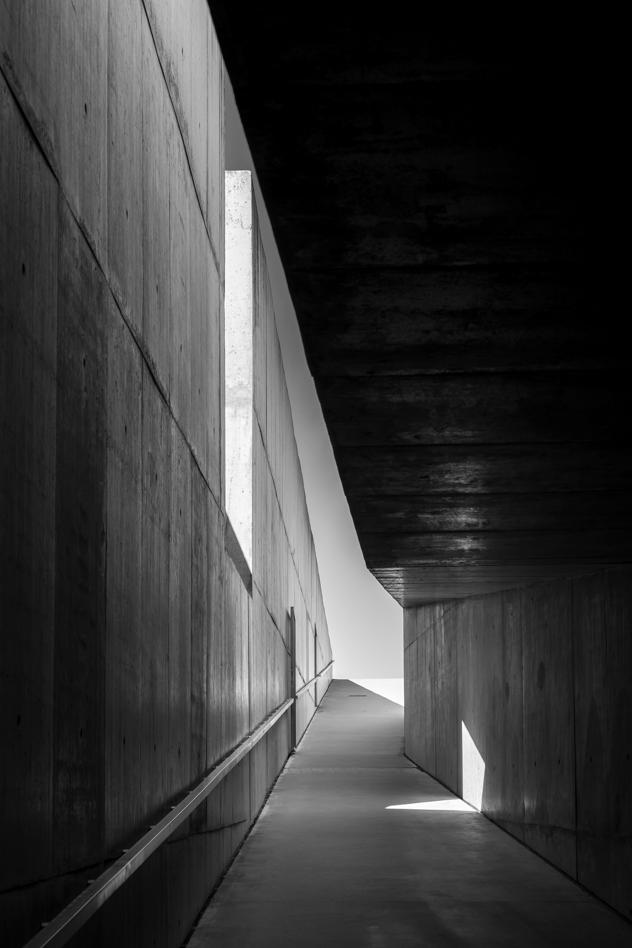 MUSEUDOCOA-RE-18.jpg