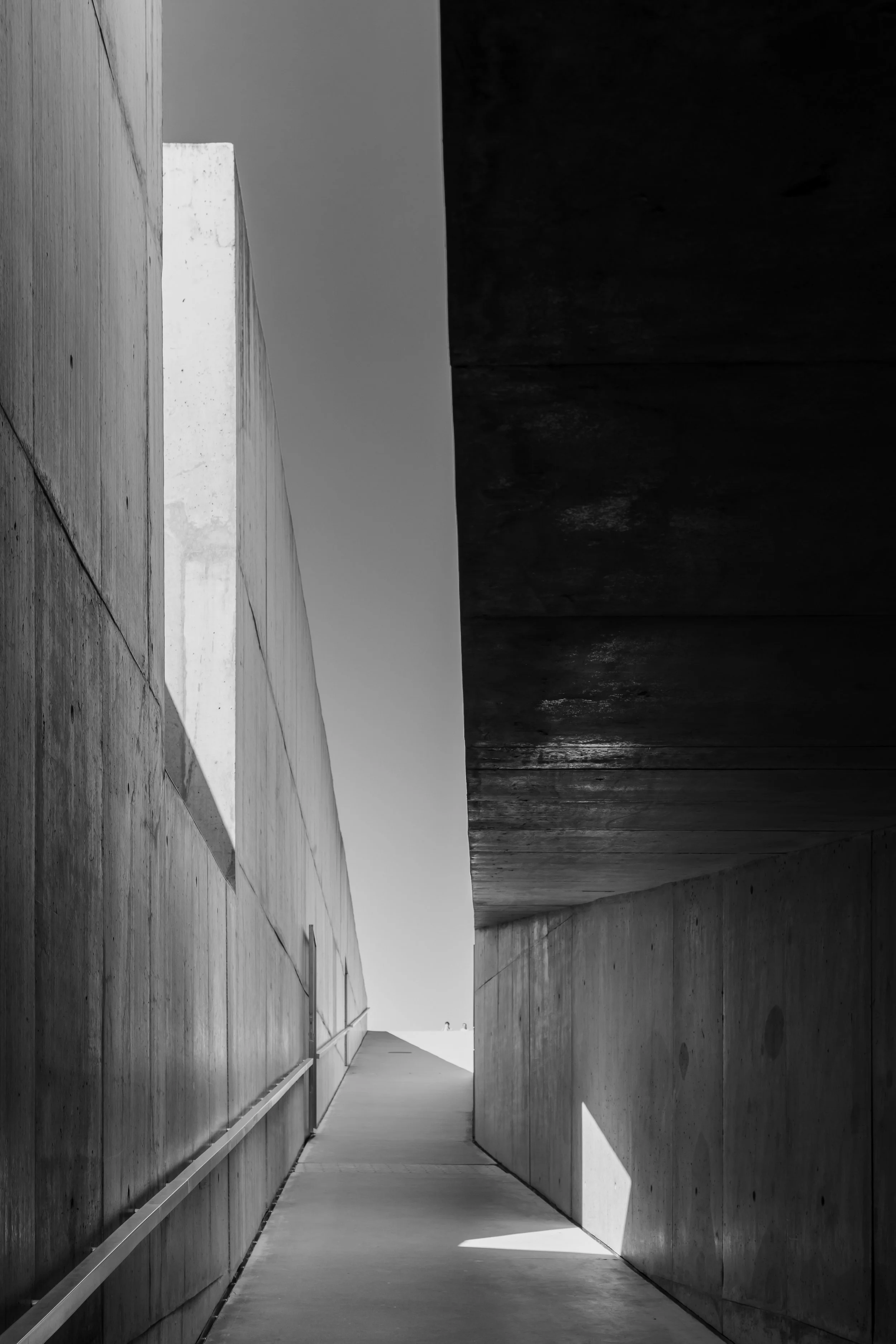 MUSEUDOCOA-RE-19.jpg
