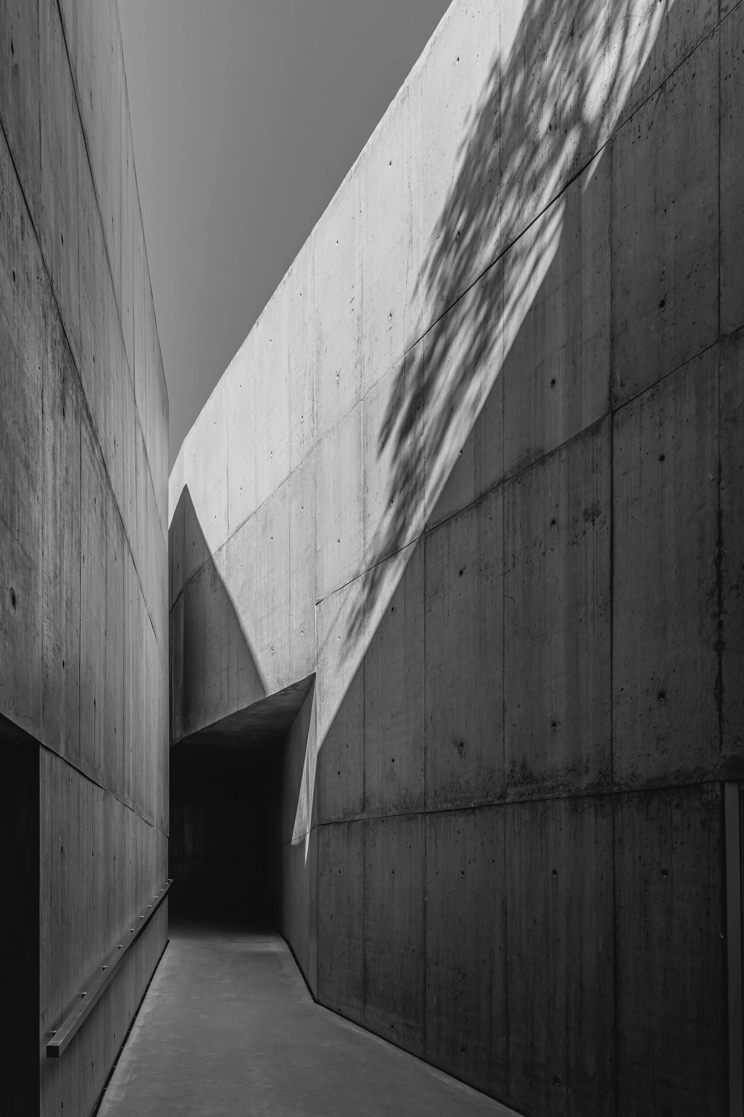 MUSEUDOCOA-RE-2.jpg