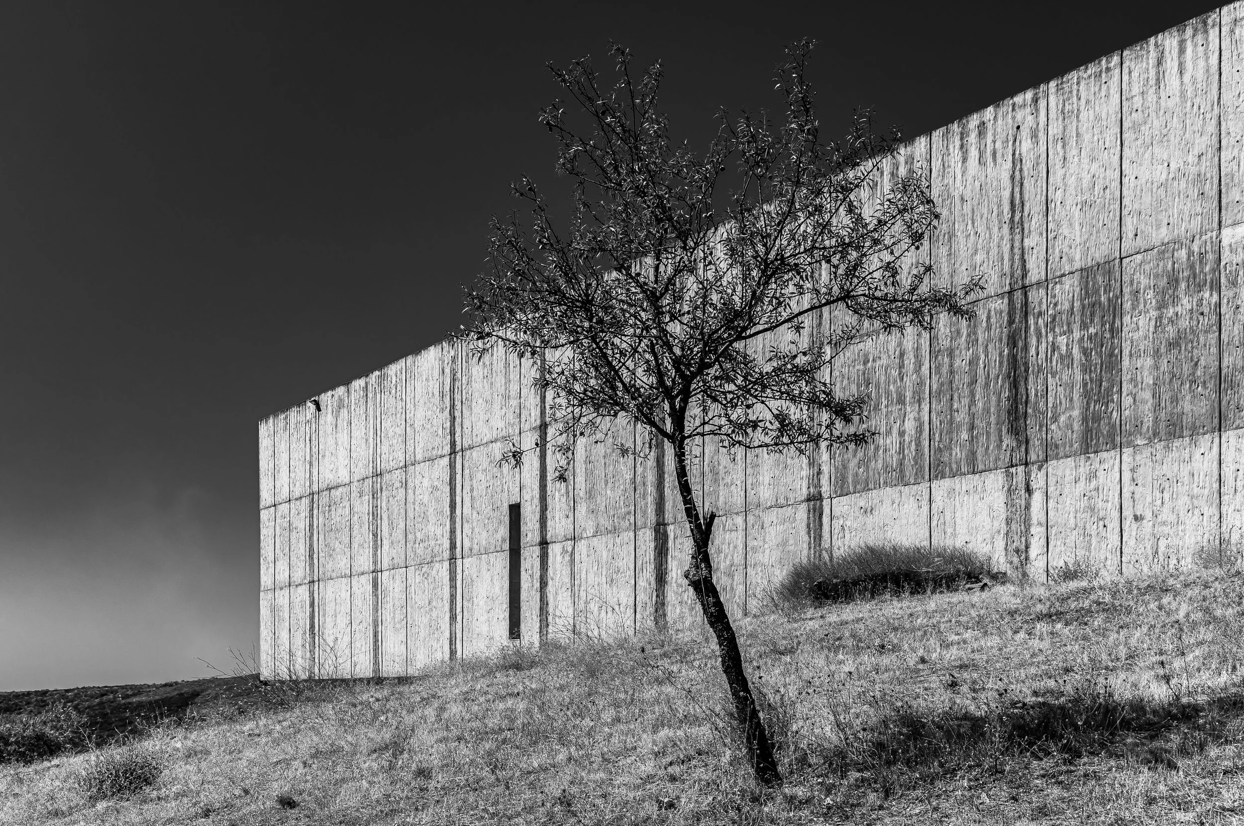 MUSEUDOCOA-RE-11.jpg