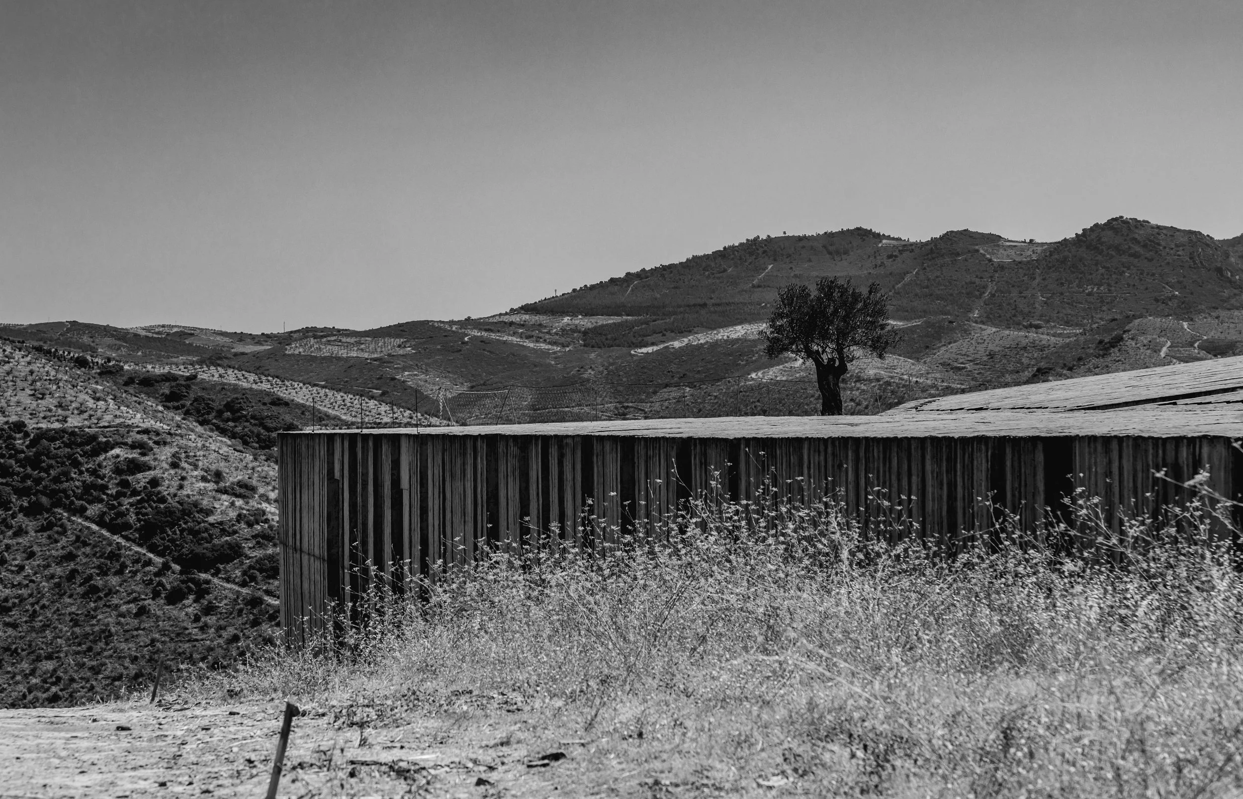 MUSEUDOCOA-RE-26.jpg
