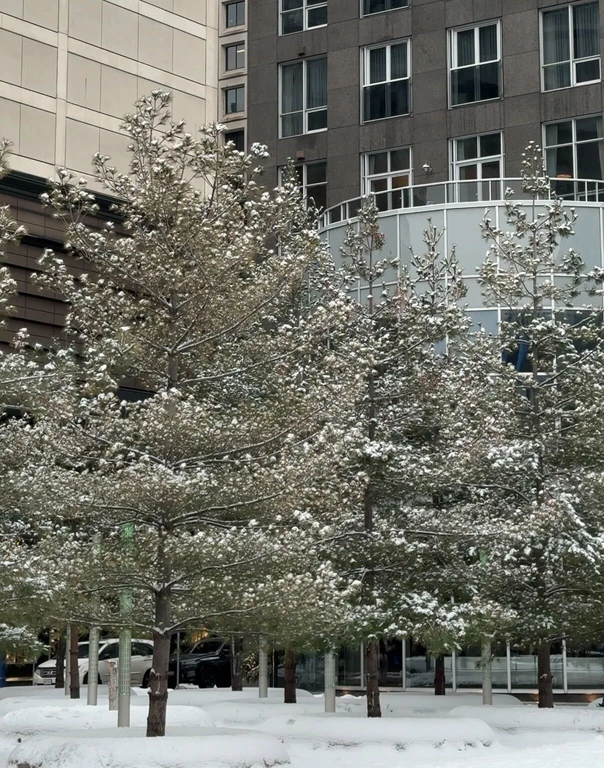 Image from iOS (10).jpg