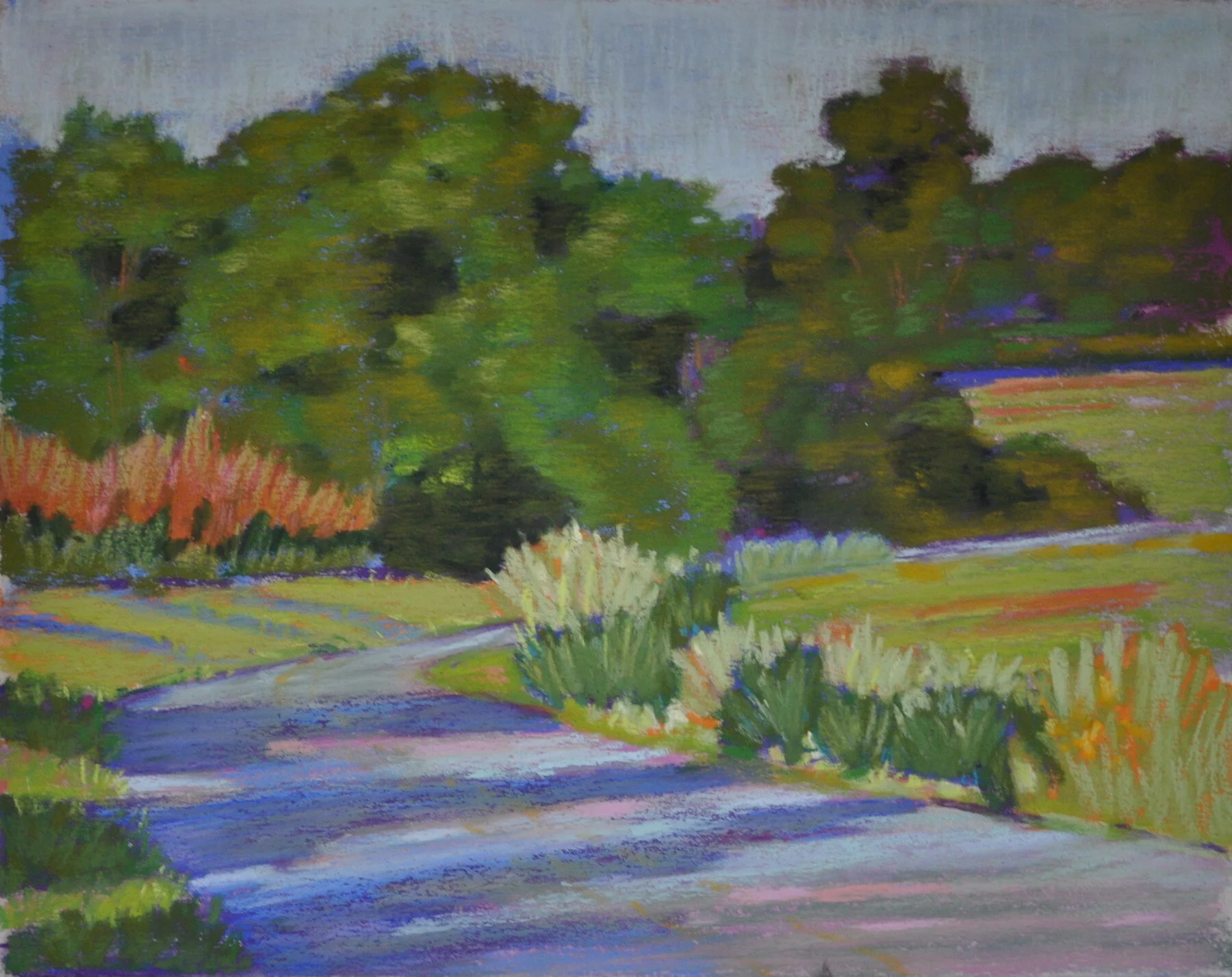 Road to Merrill Creek