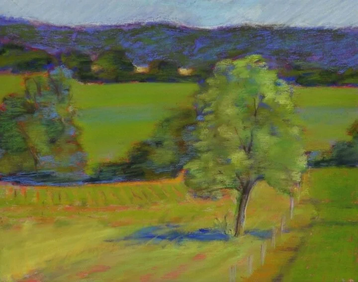 Mountain View Road