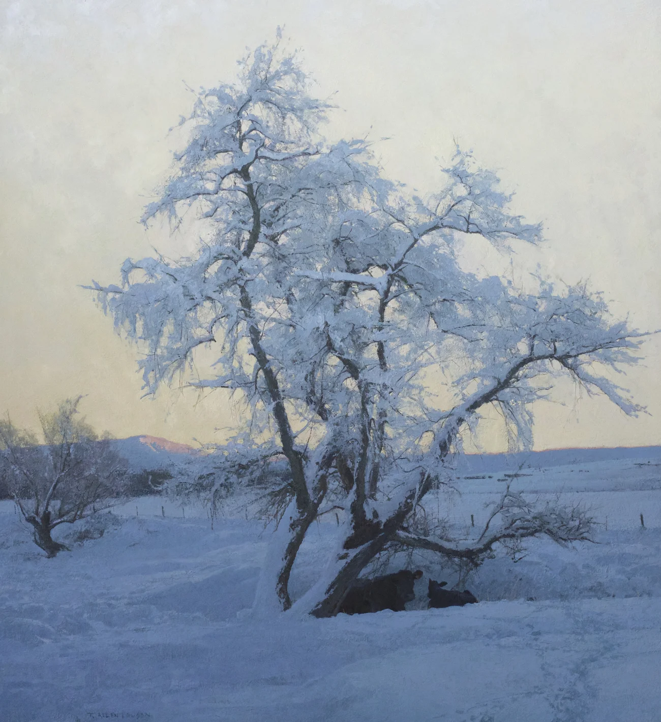 T. Allen Lawson - Selected works