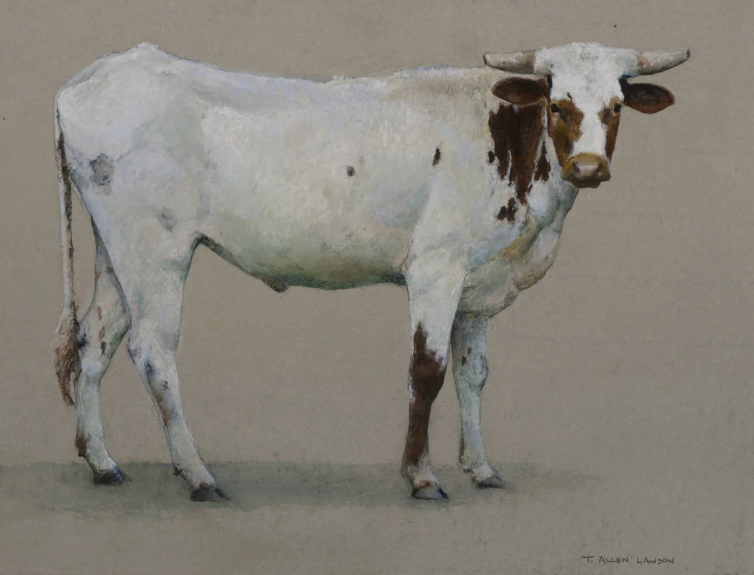 Jim's Steer, colored wax, watercolor & graphite on Twinrocker handmade paper, 13.75 x 18 in.