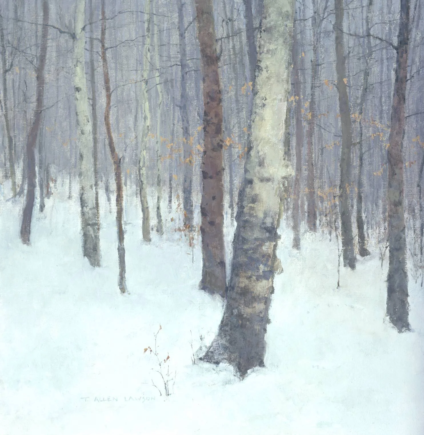 In the Woods - Winter, oil on linen, 20 x 19 in.