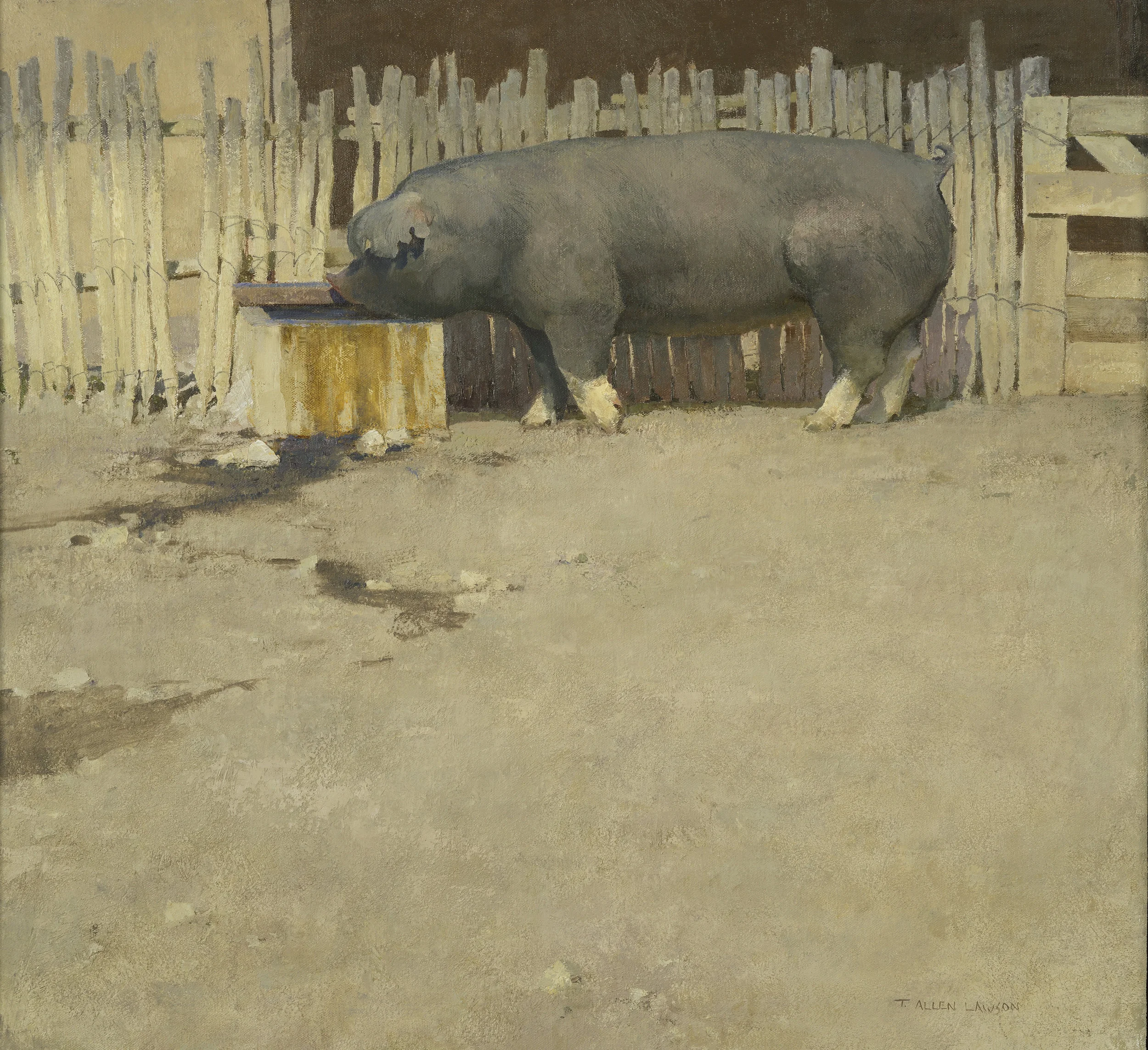 Pig, oil on linen over panel, 26 x 28in.