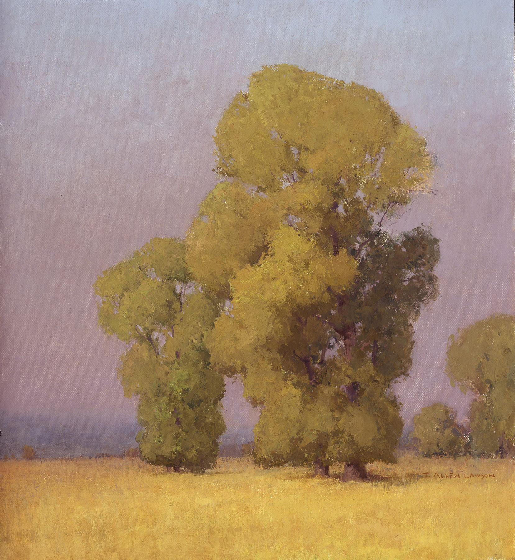 Summer's Veil