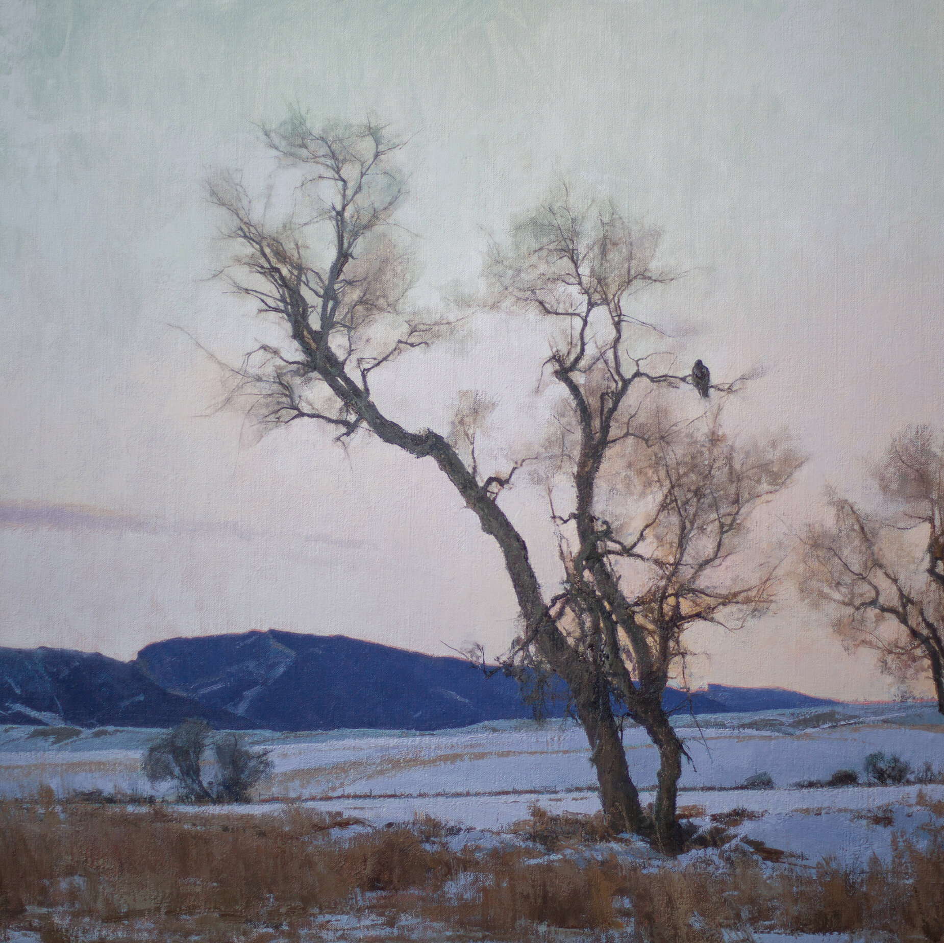 "Sunday Matinee" oil on linen m/o panel, 24 x 24in., 2020