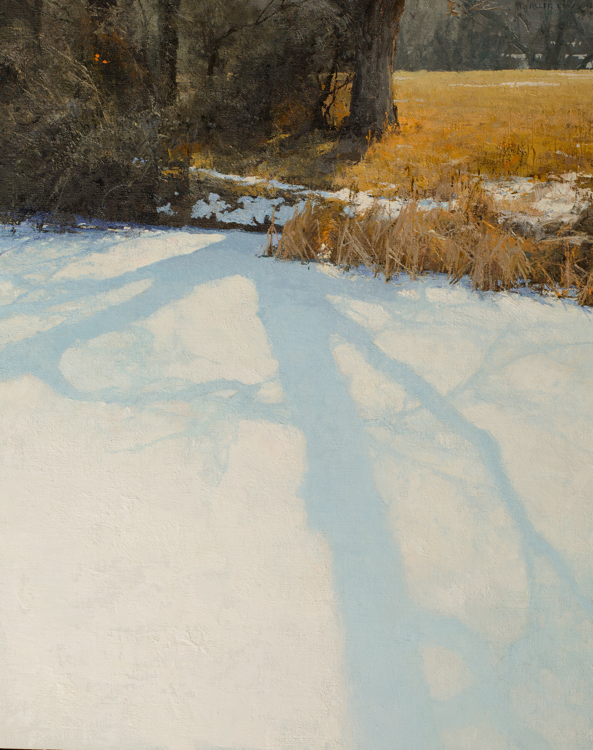 "Ice Capades" oil on linen m/o panel, 25 x 20 in., 2019