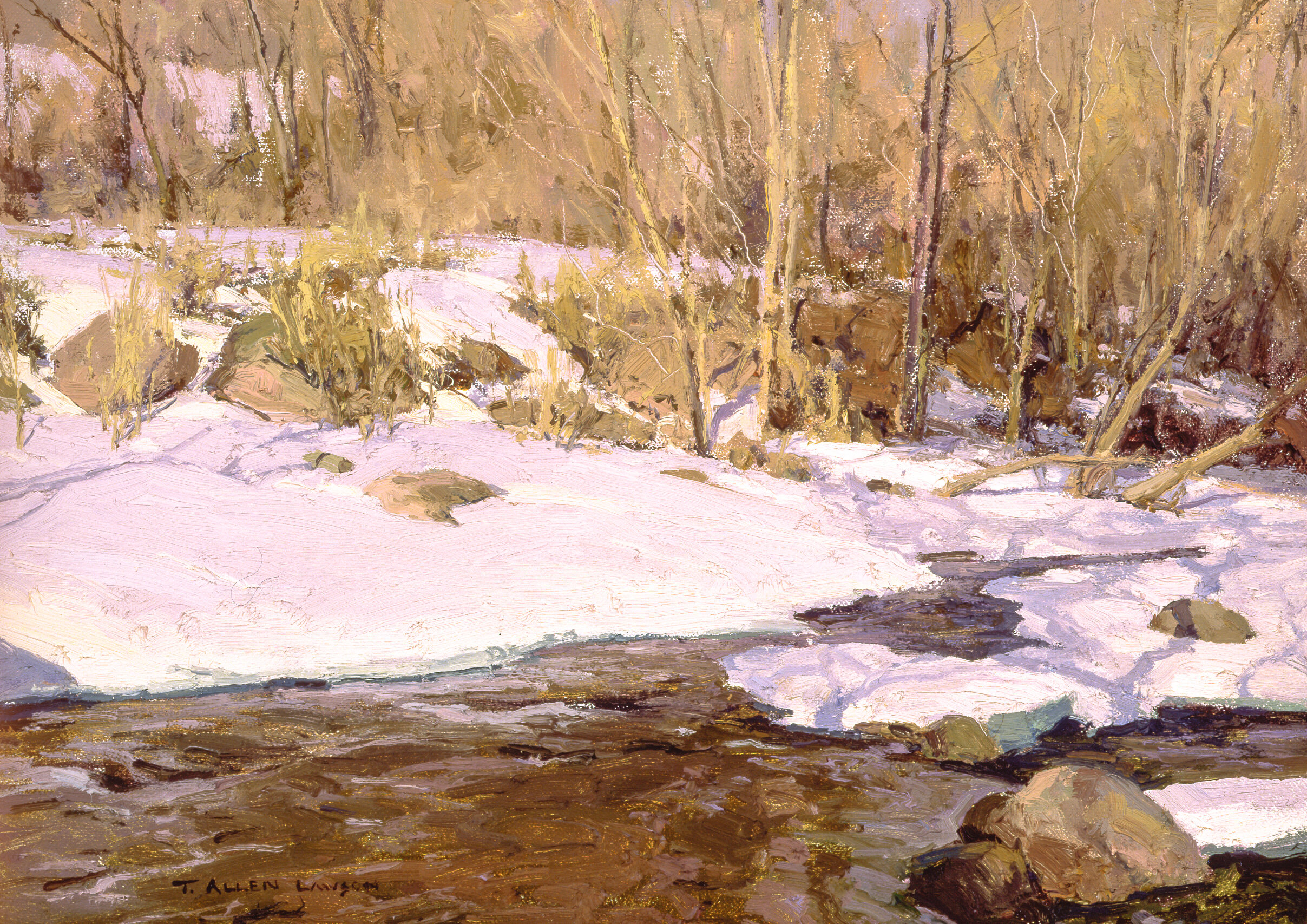 January on the Big Goose River
