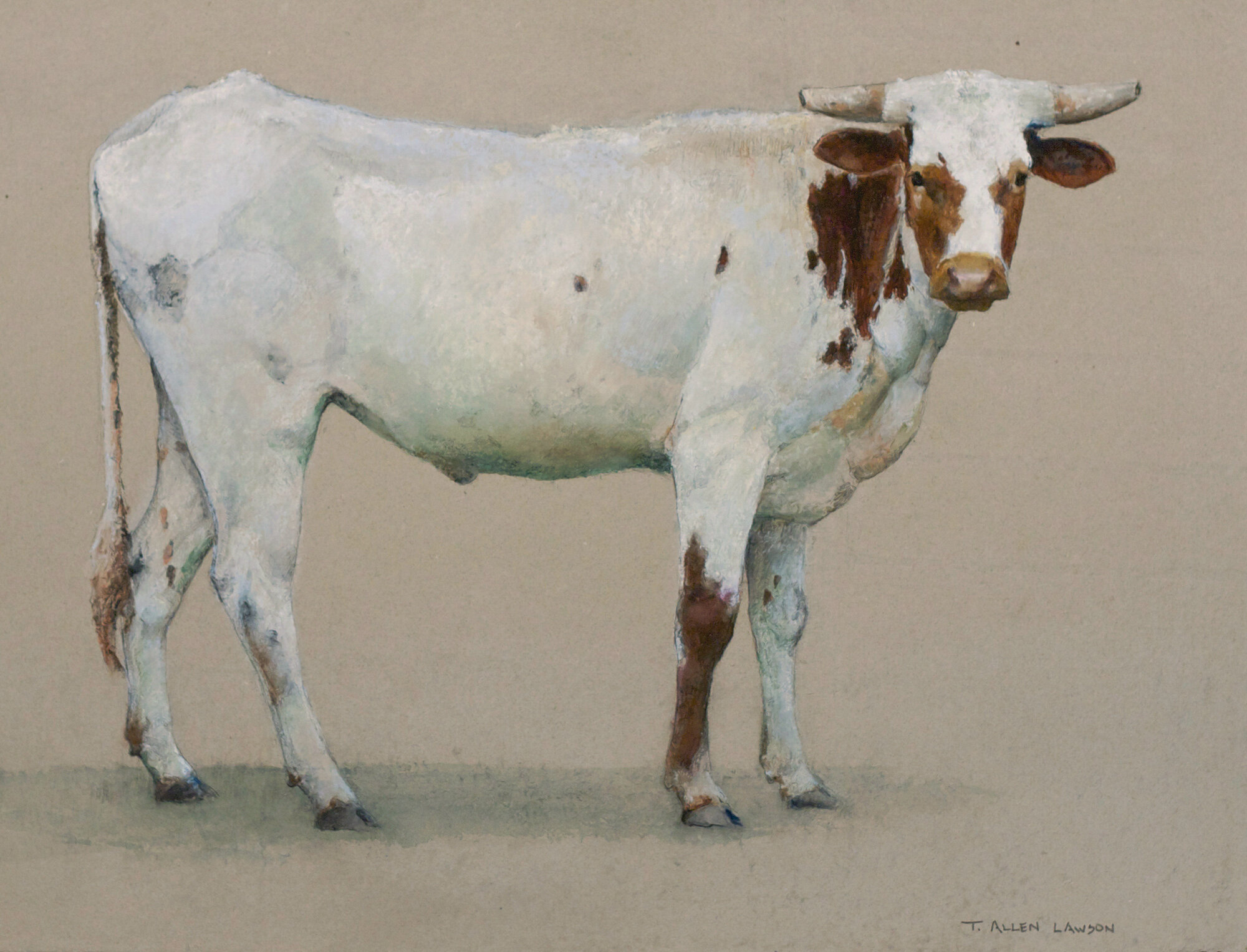 Jim’s Steer
