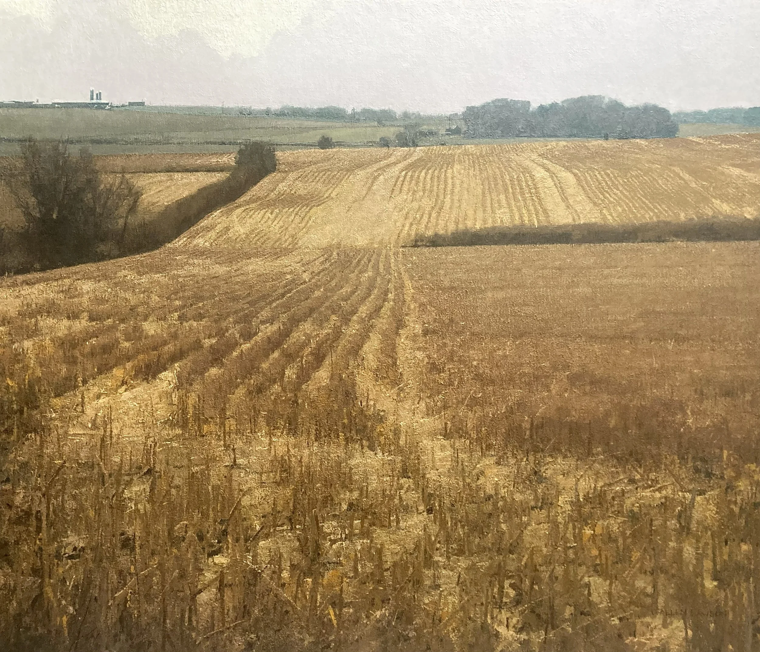 "Fields of Gold" oil on linen m/o panel, 36 x 42 in., 2023
