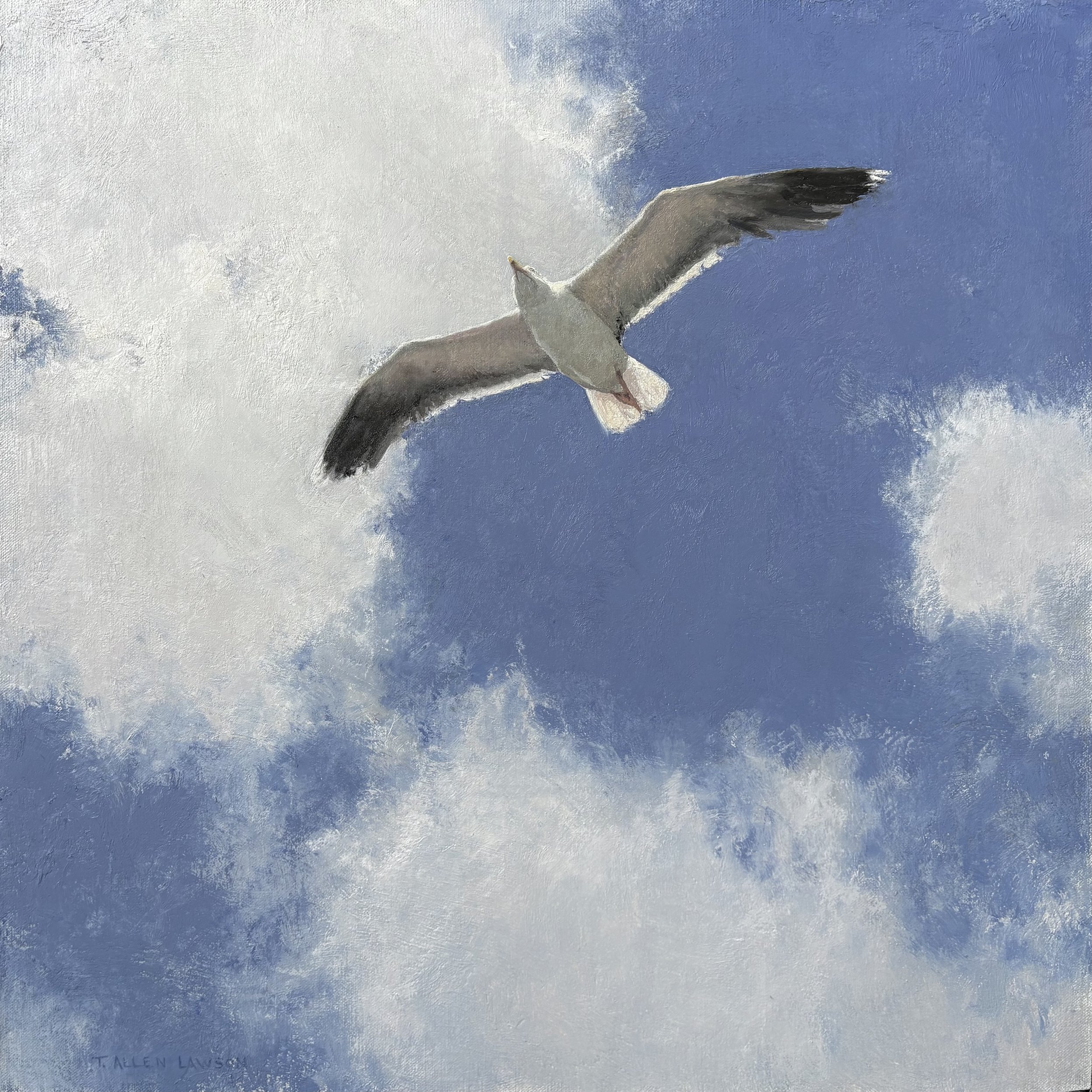 "Sound Soarer" oil on linen m/o panel, 18 x 18 in., 2025