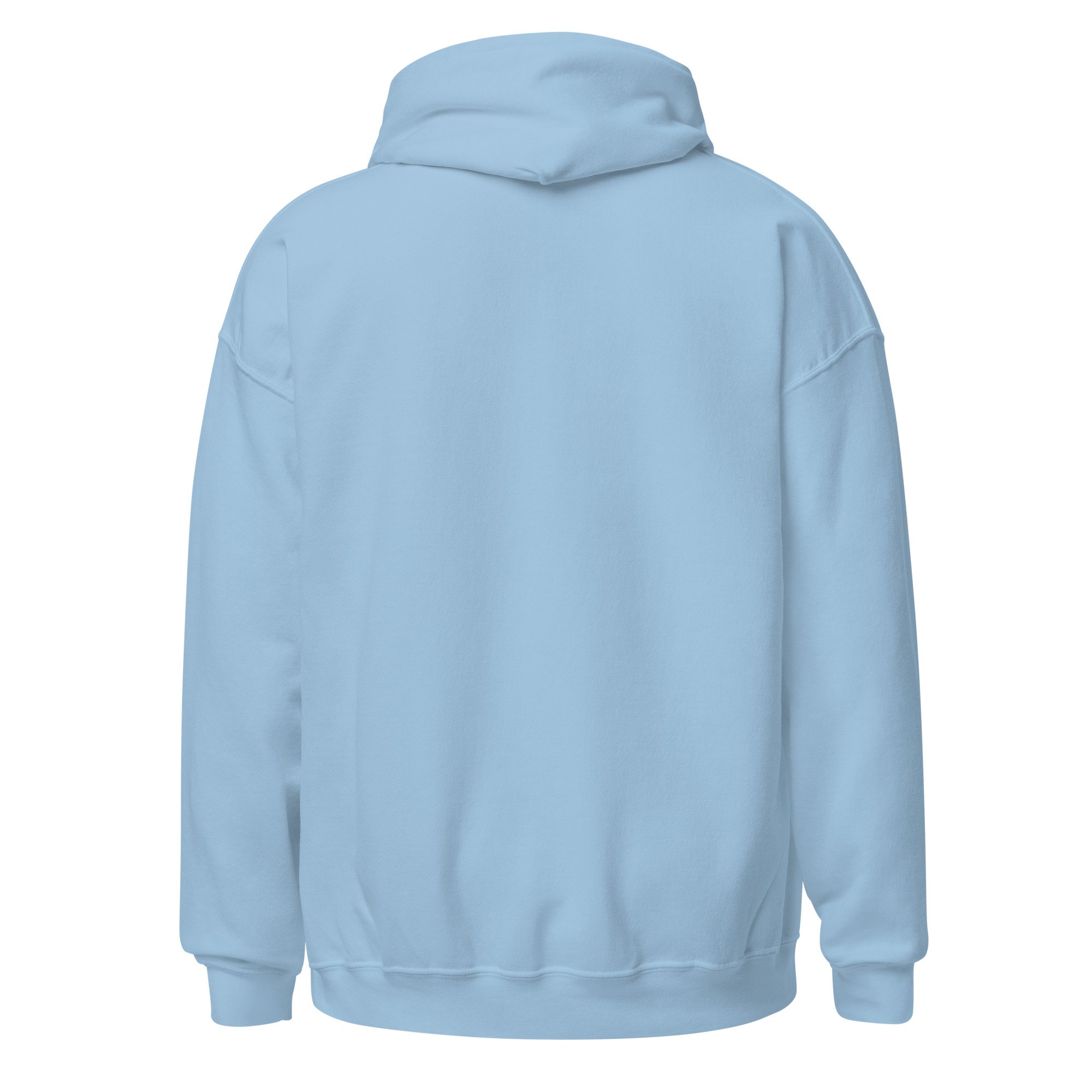 unisex-heavy-blend-hoodie-light-blue-back-6a32170f25d40.jpg