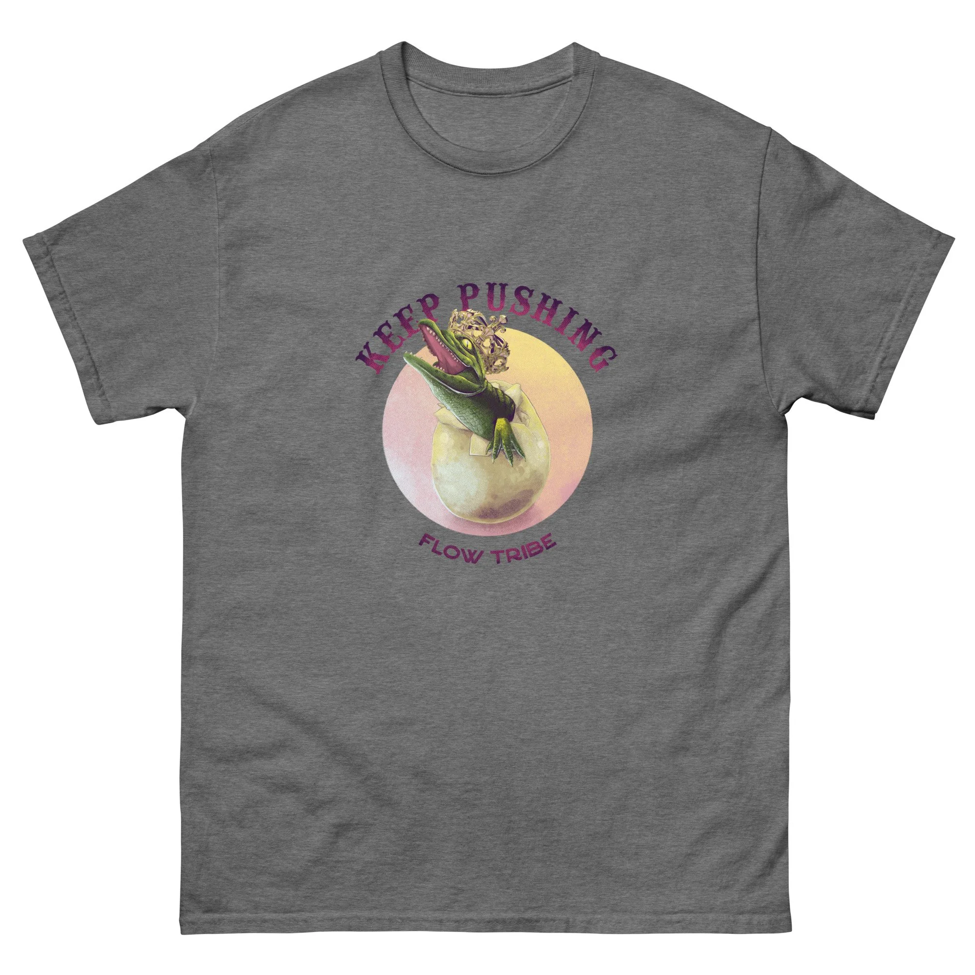 unisex-classic-tee-graphite-heather-front-6a322a1d2f669.jpg