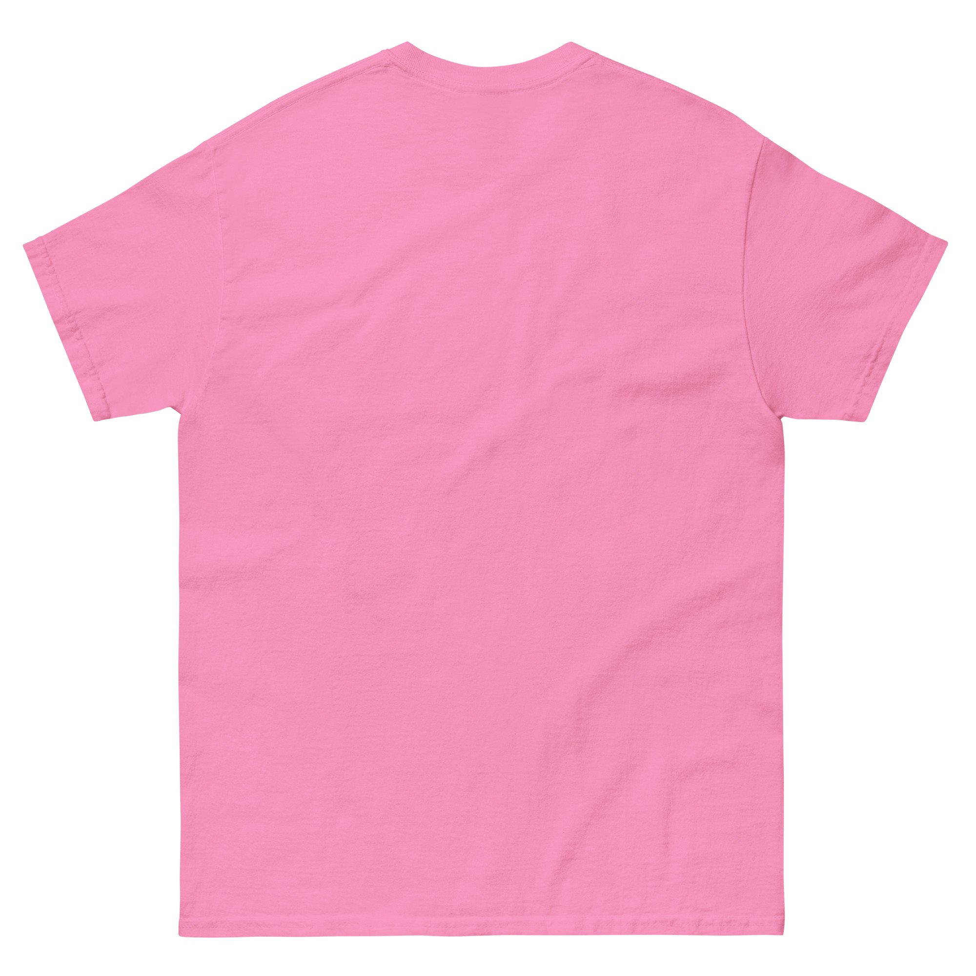 unisex-classic-tee-azalea-back-6a322e603995e.jpg