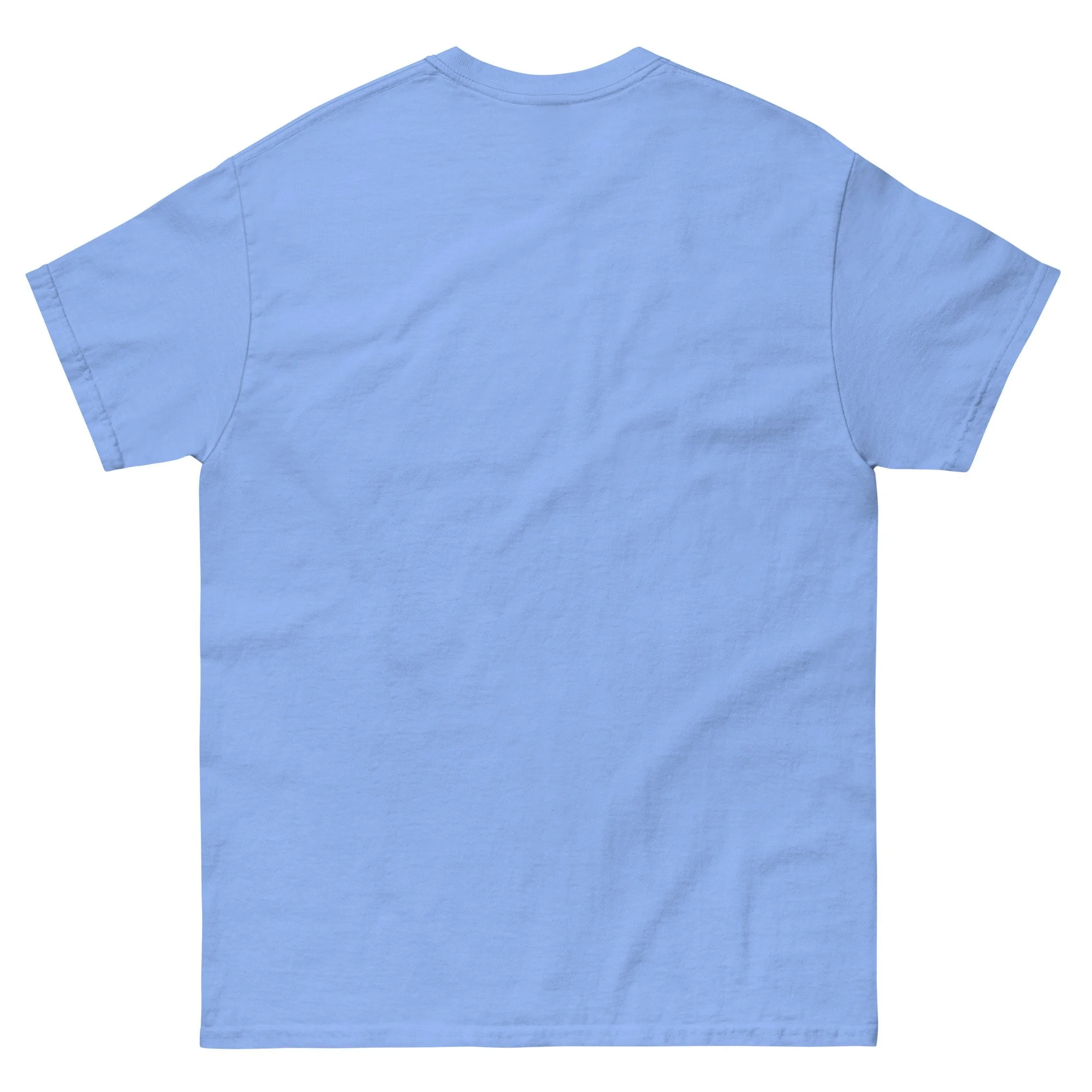unisex-classic-tee-carolina-blue-back-6a322e6041651.jpg