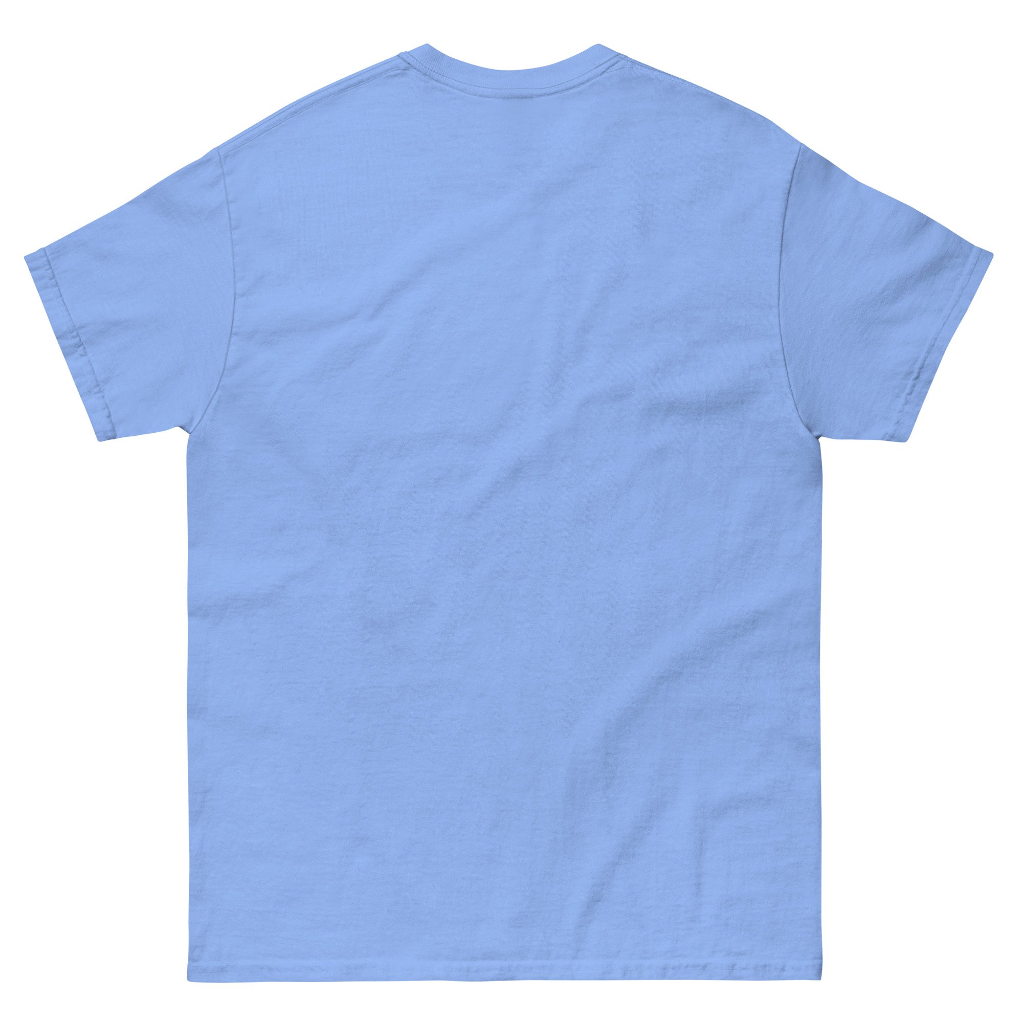unisex-classic-tee-carolina-blue-back-6a3253b4b04a8.jpg