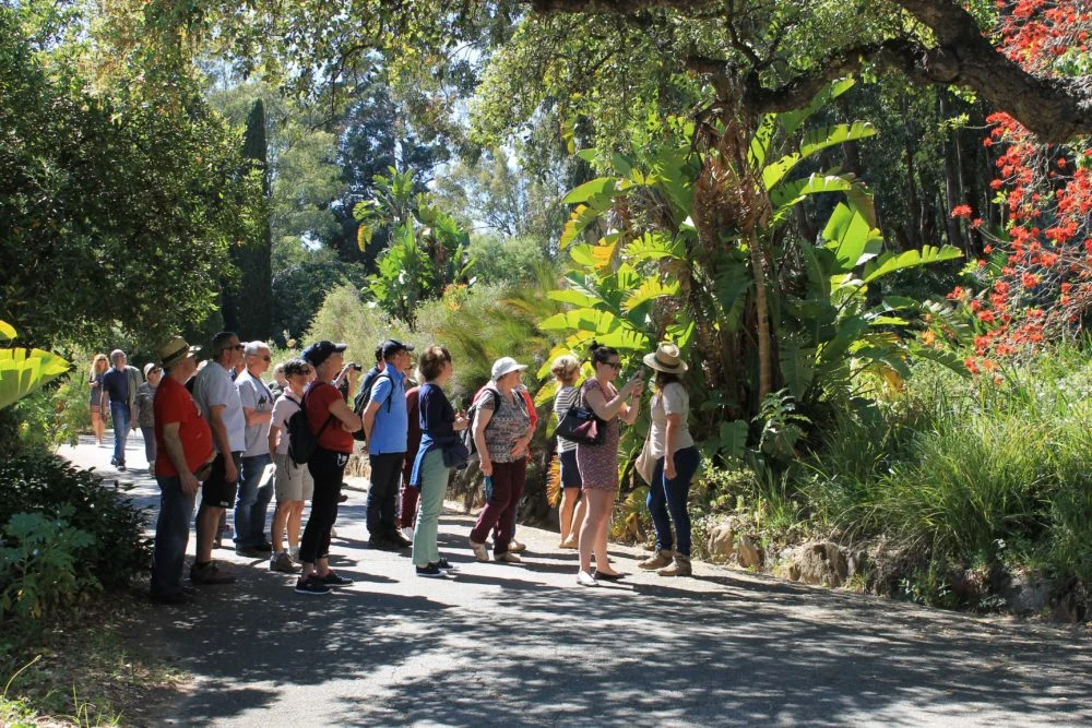 Visite-guidée1.jpg