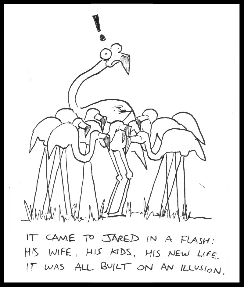 flamingo illusion.jpg