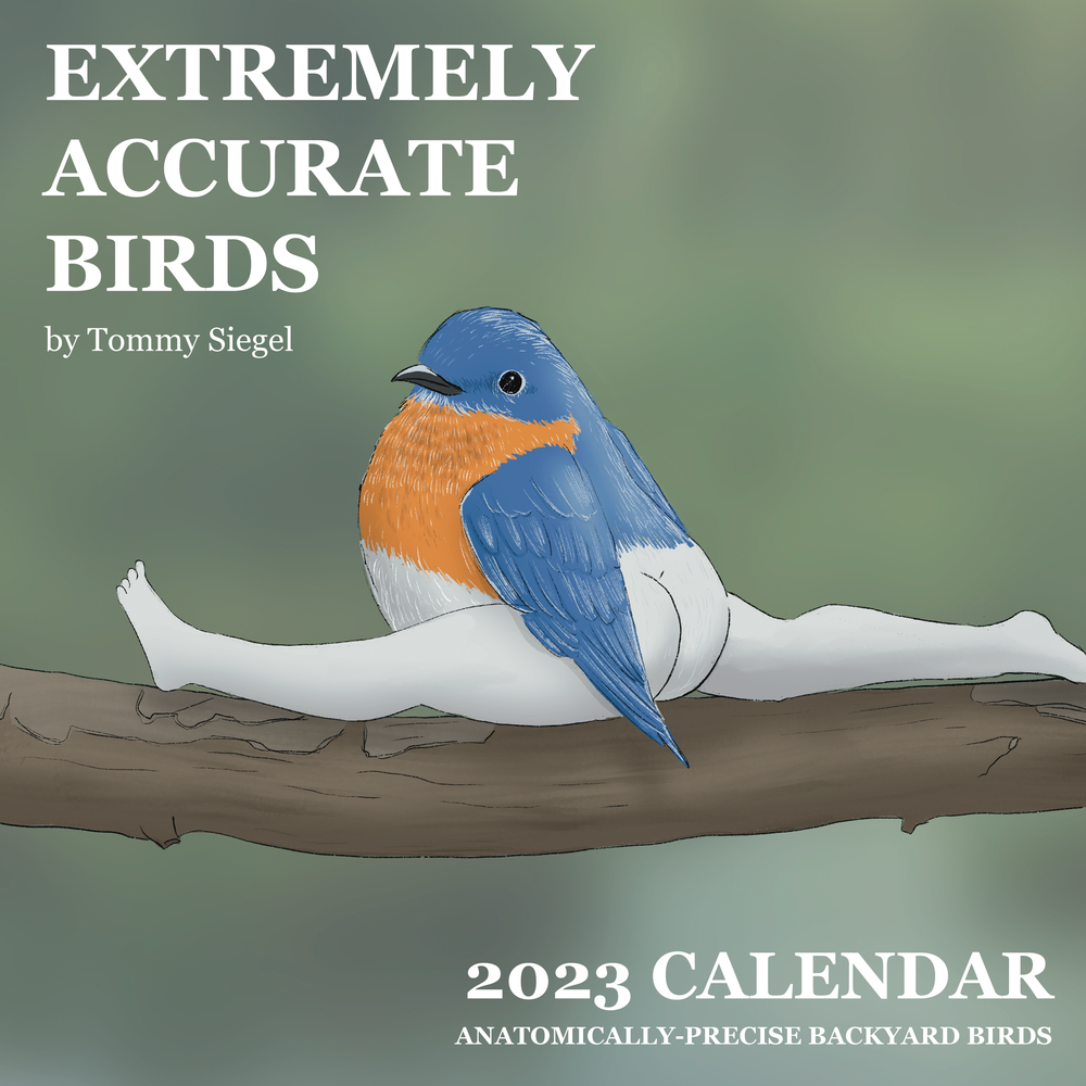 2023 Calendar Of Extremely Accurate Birds — Tommy Siegel