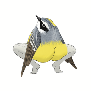 2024 Second Edition - Precise Bird Stickers for Expert Birders (4