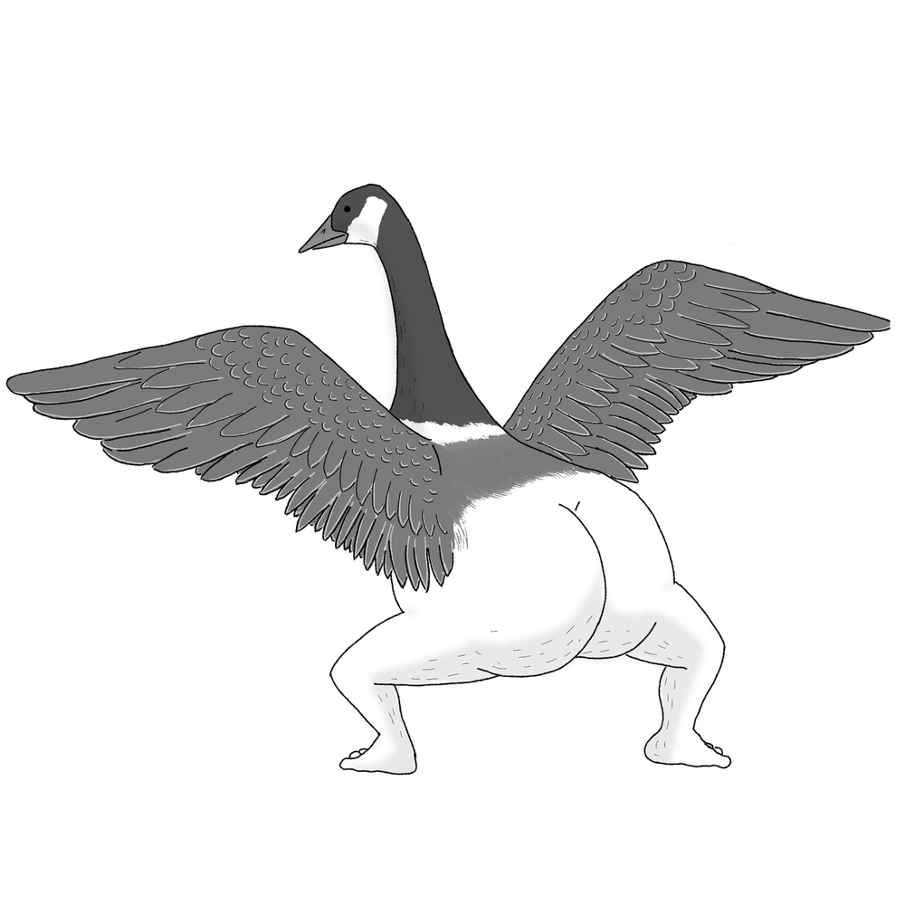 2022 Edition - Precise Bird Stickers for Expert Birders (4-pack) — Tommy  Siegel