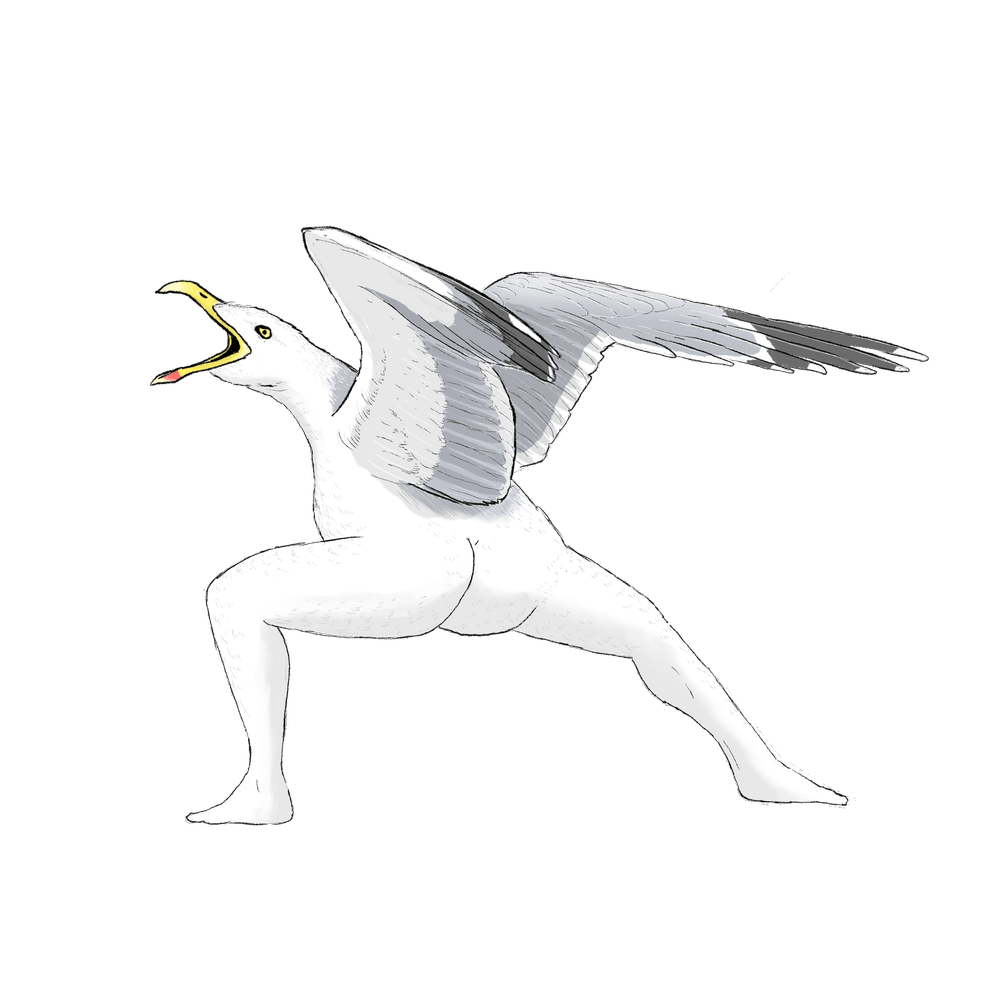herring gull sticker.png