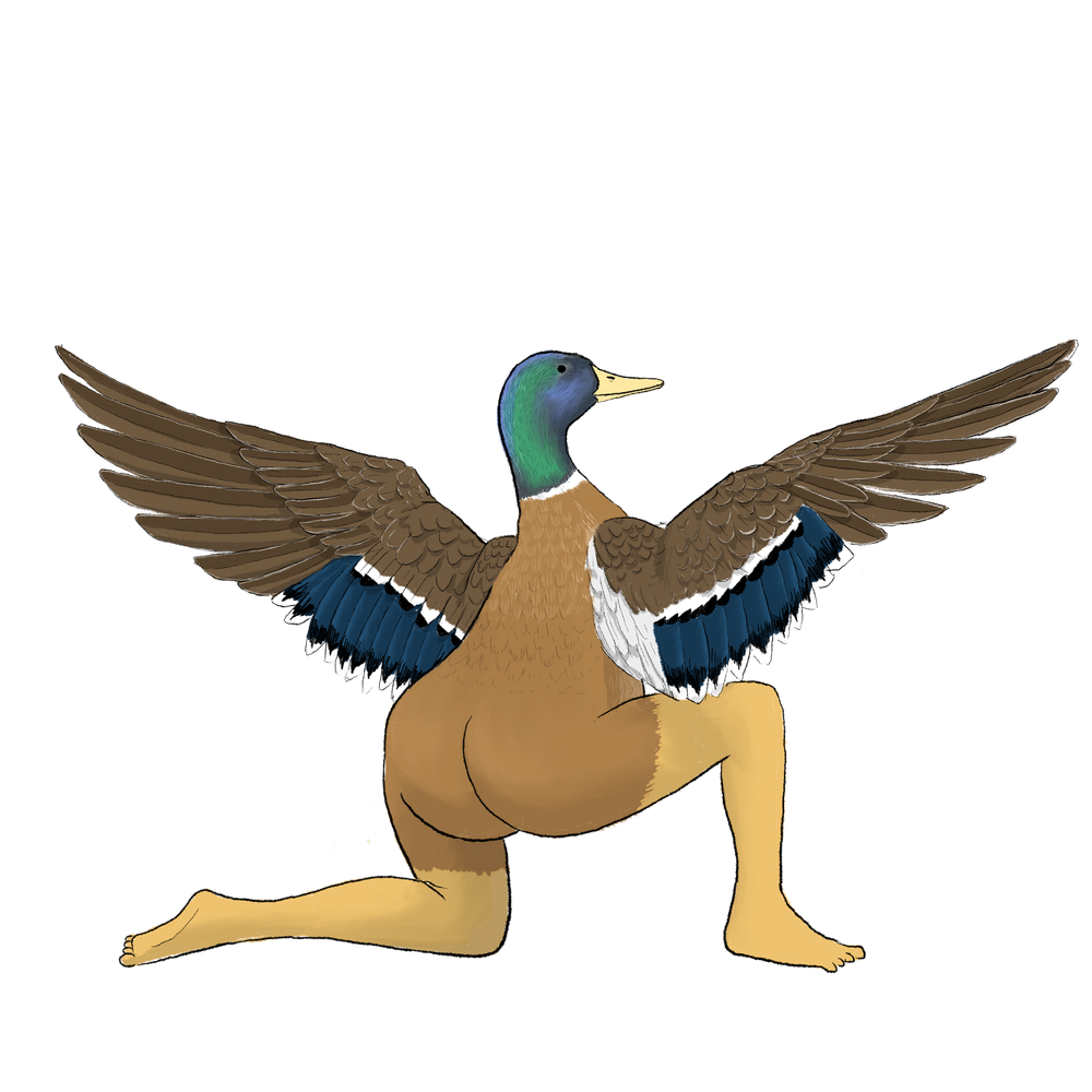 2023 Edition - Precise Bird Stickers for Expert Birders (4 Pack) — Tommy  Siegel