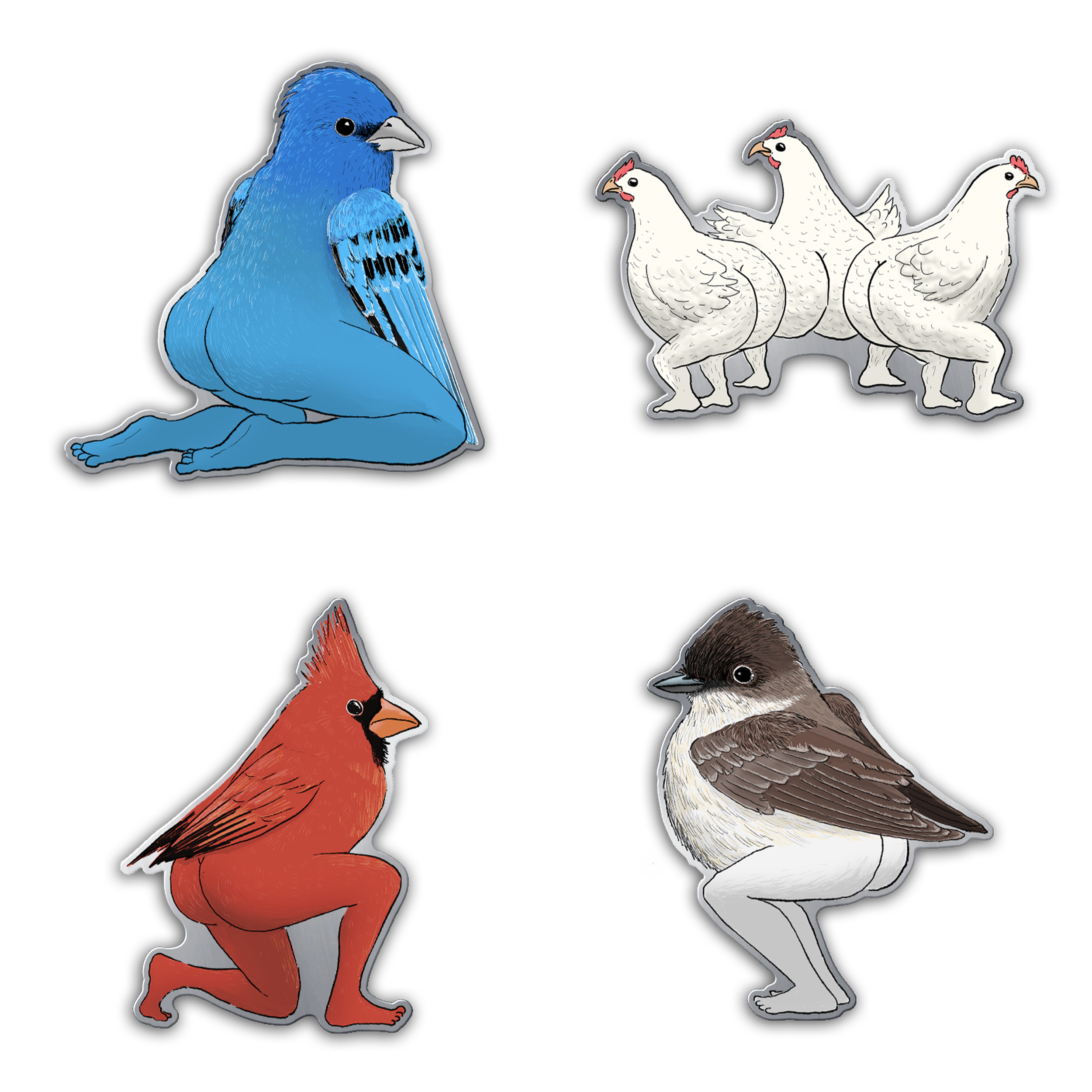 BirdPins.png