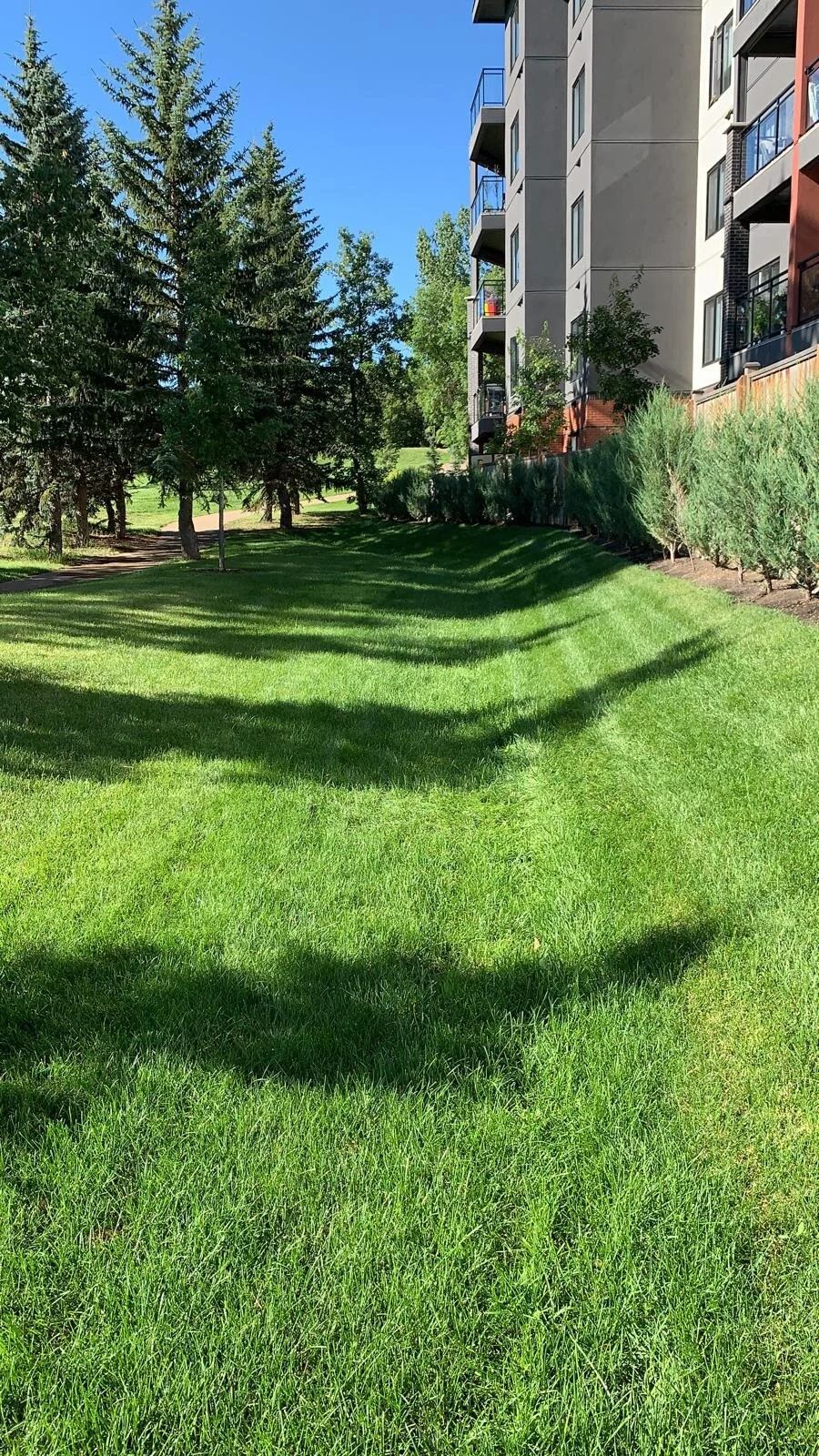 ae21d980-ad2c-4d18-9504-1c479560959a (1).JPG