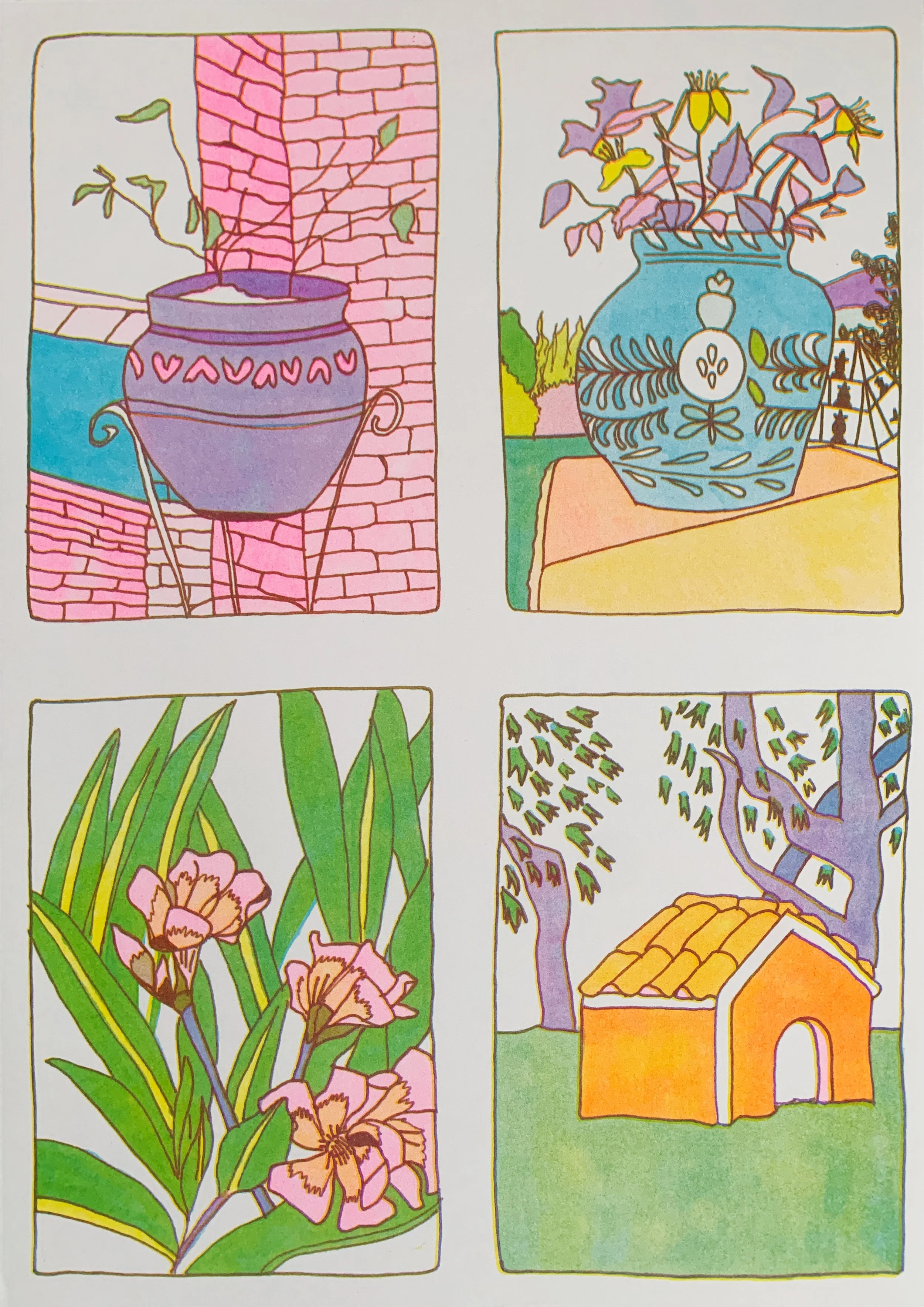 Flowers and Pots.jpg